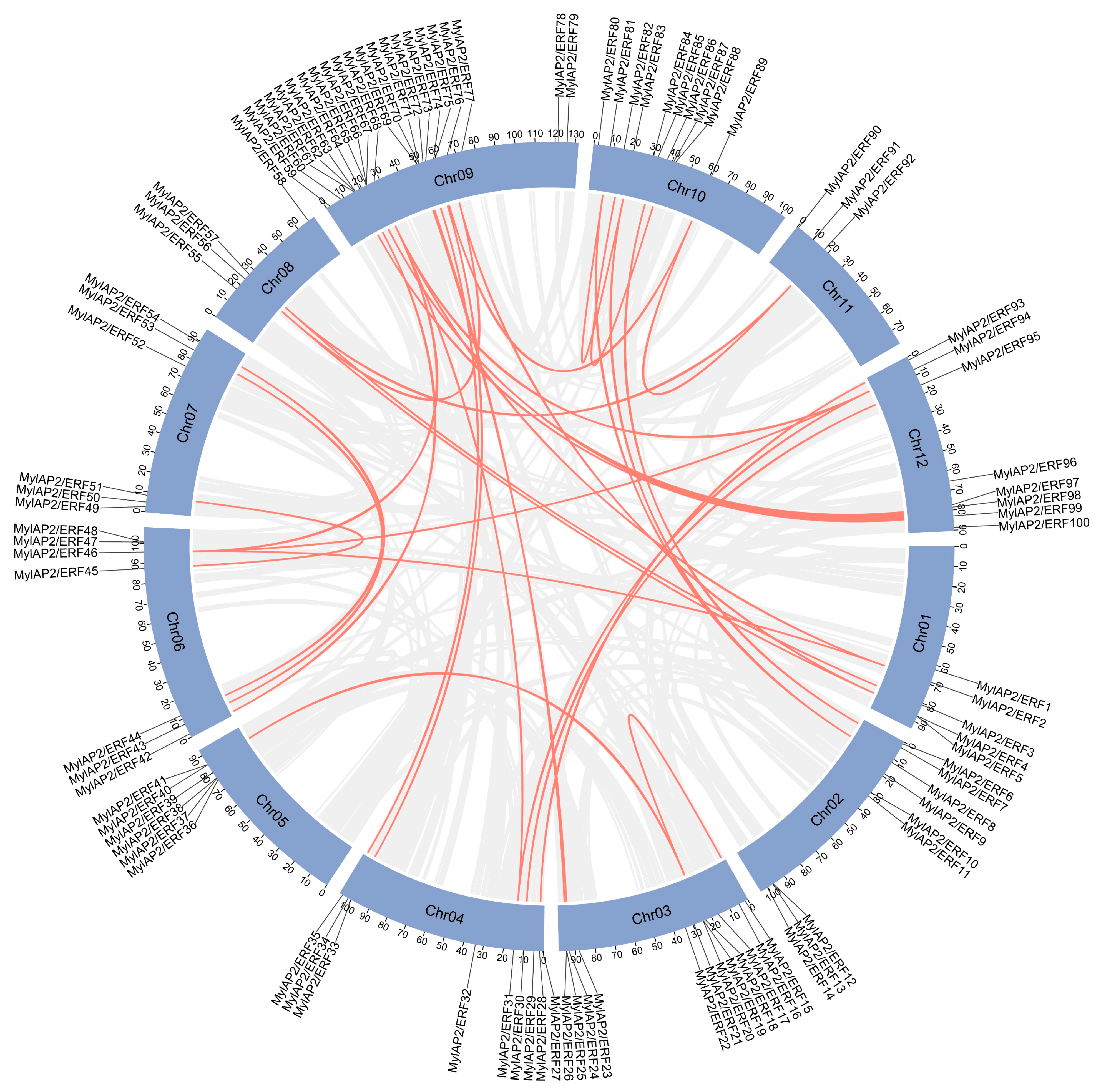Forests 16 00295 g008