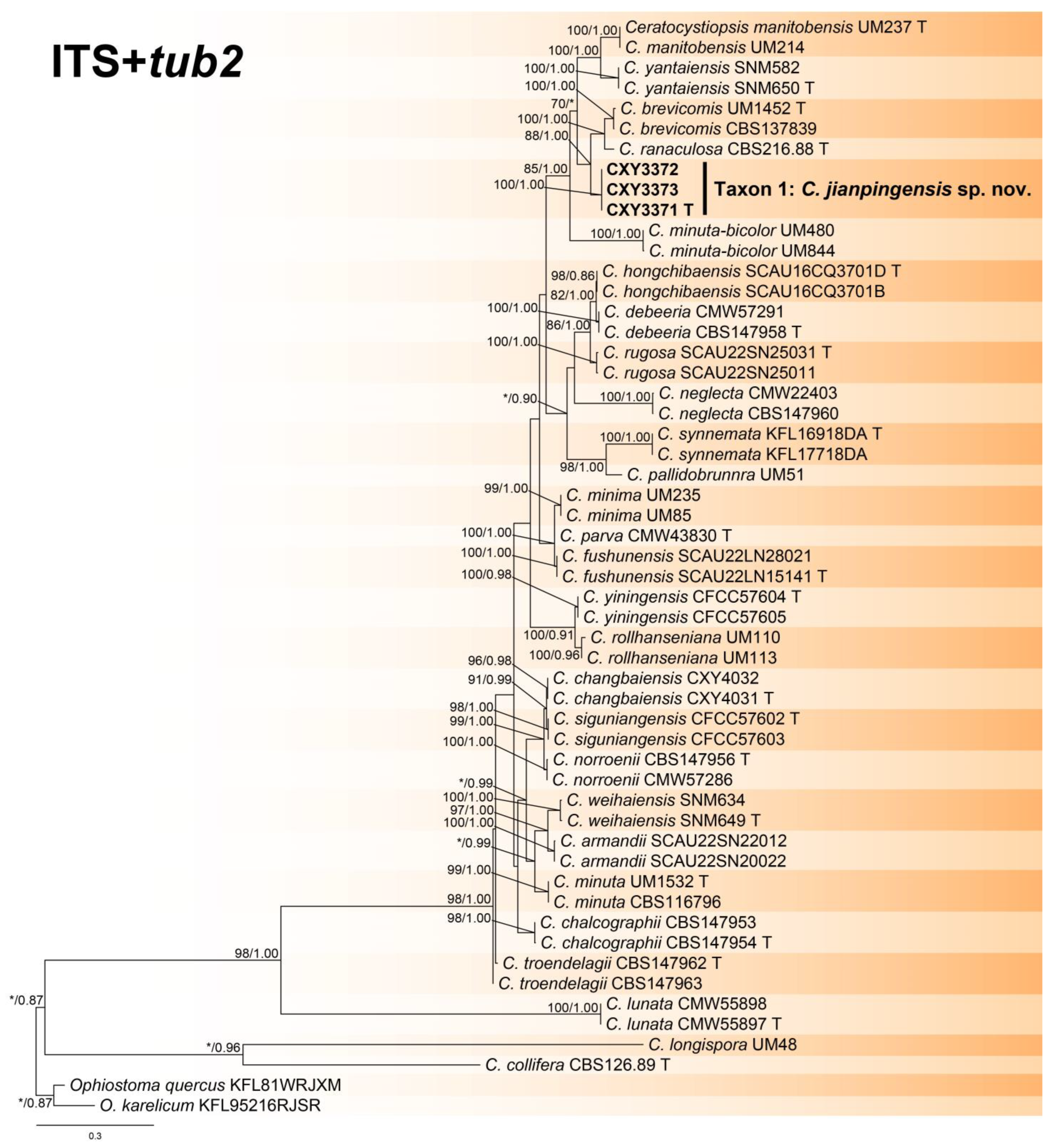 Forests 16 00299 g001