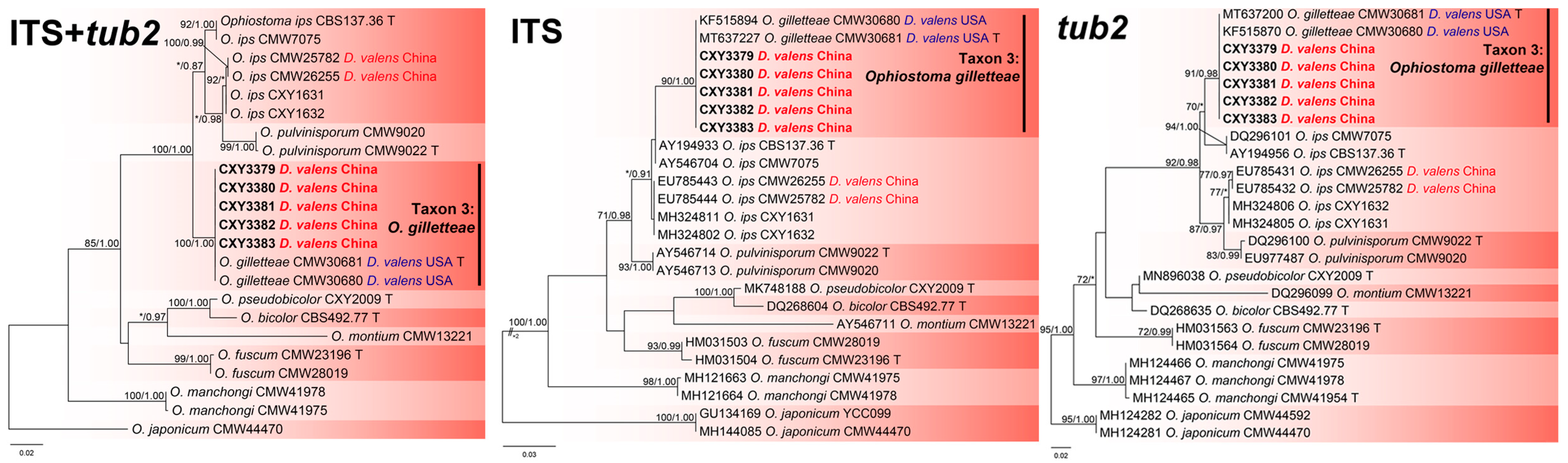 Forests 16 00299 g005