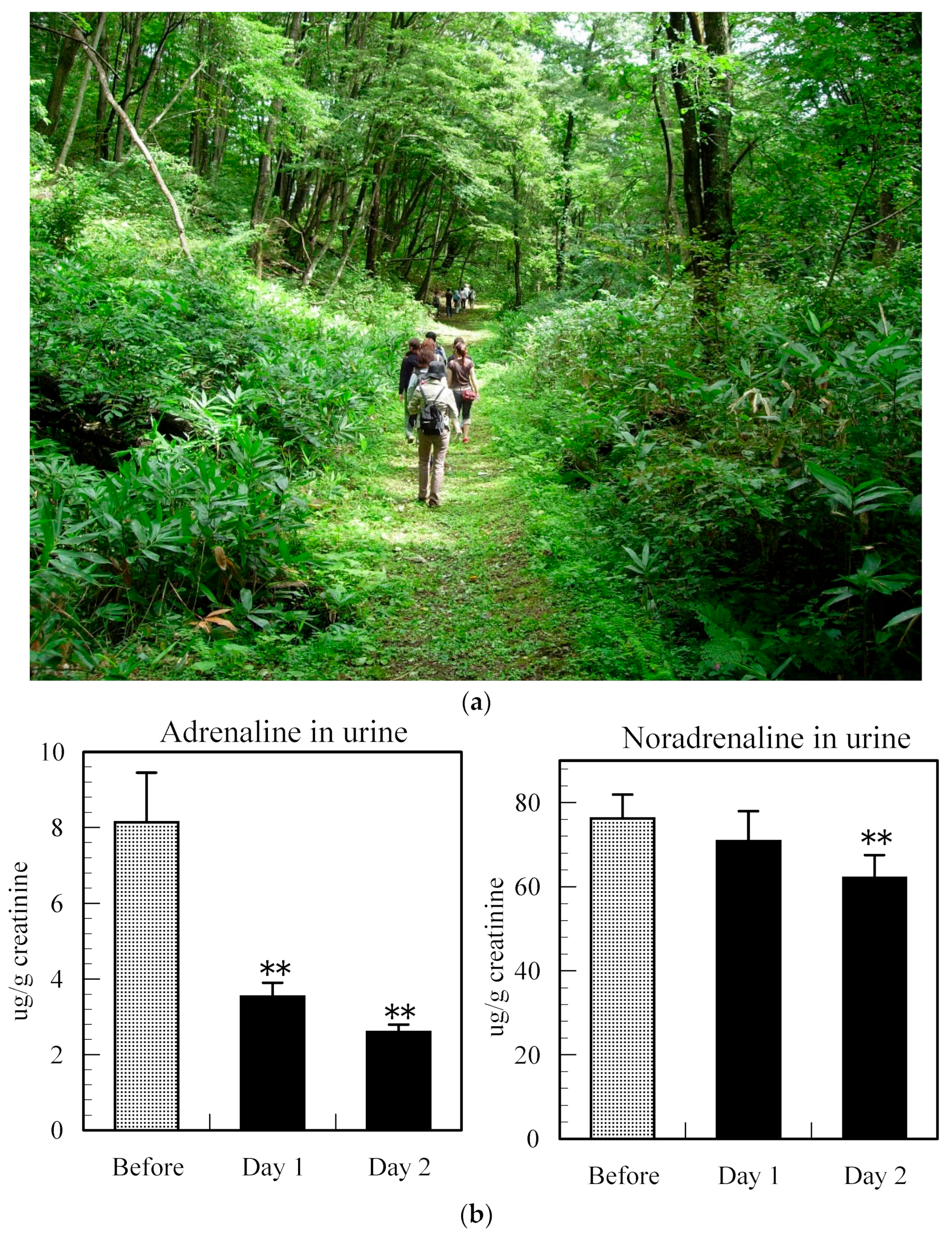 Forests 16 00310 g001