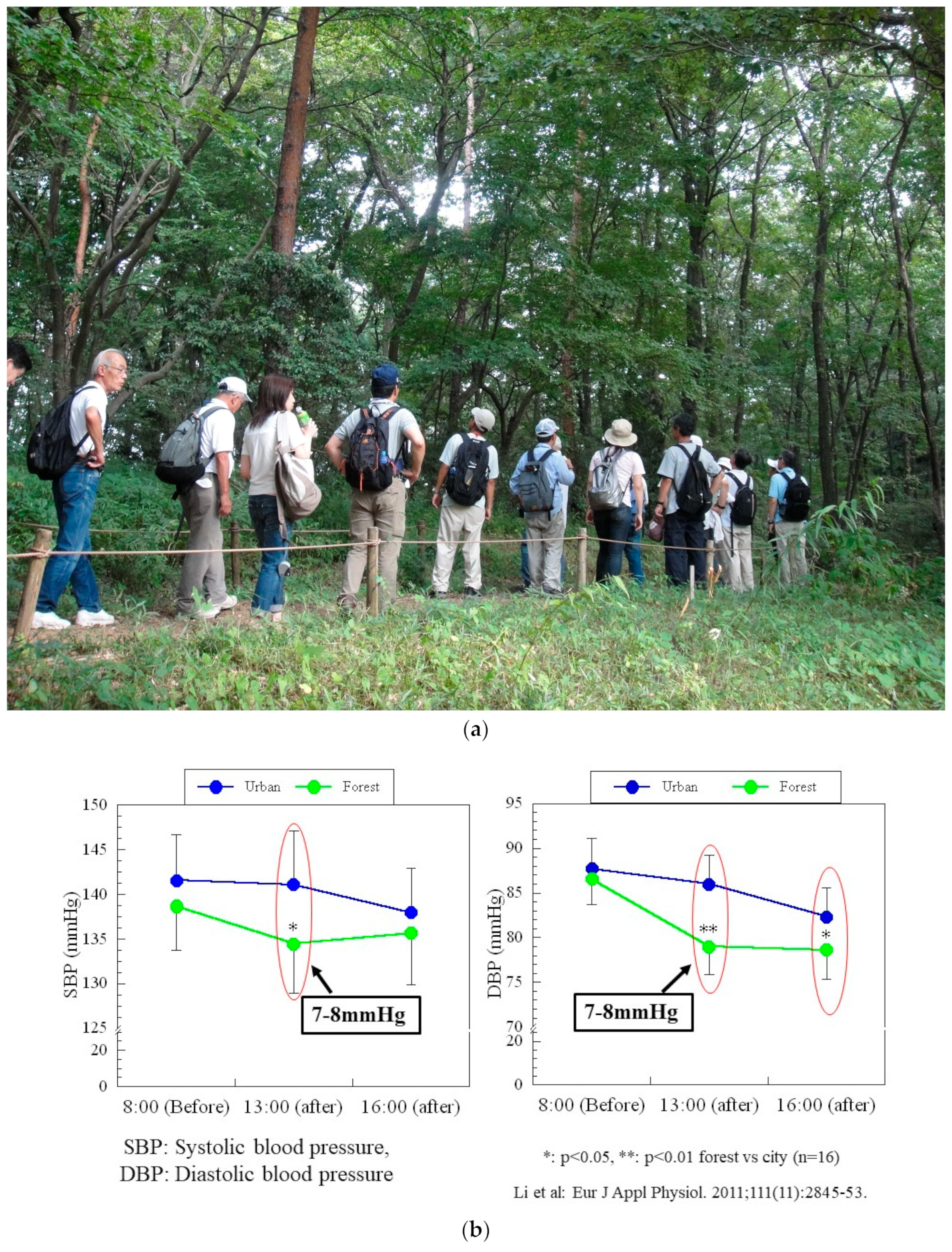 Forests 16 00310 g002