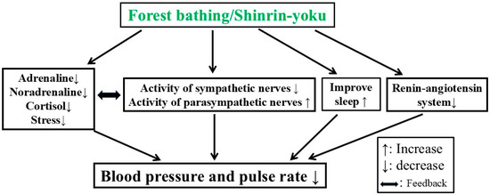 Forests 16 00310 g003