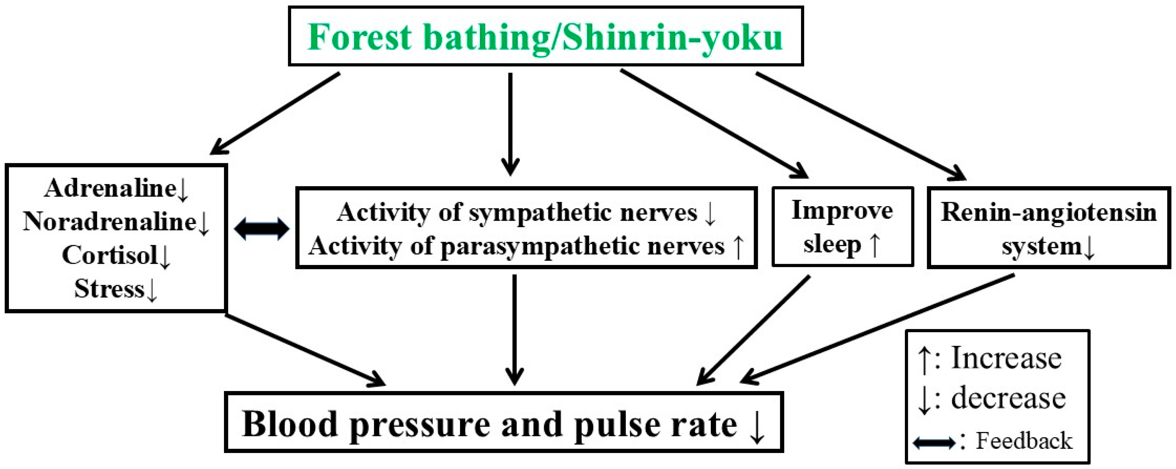 Forests 16 00310 g003