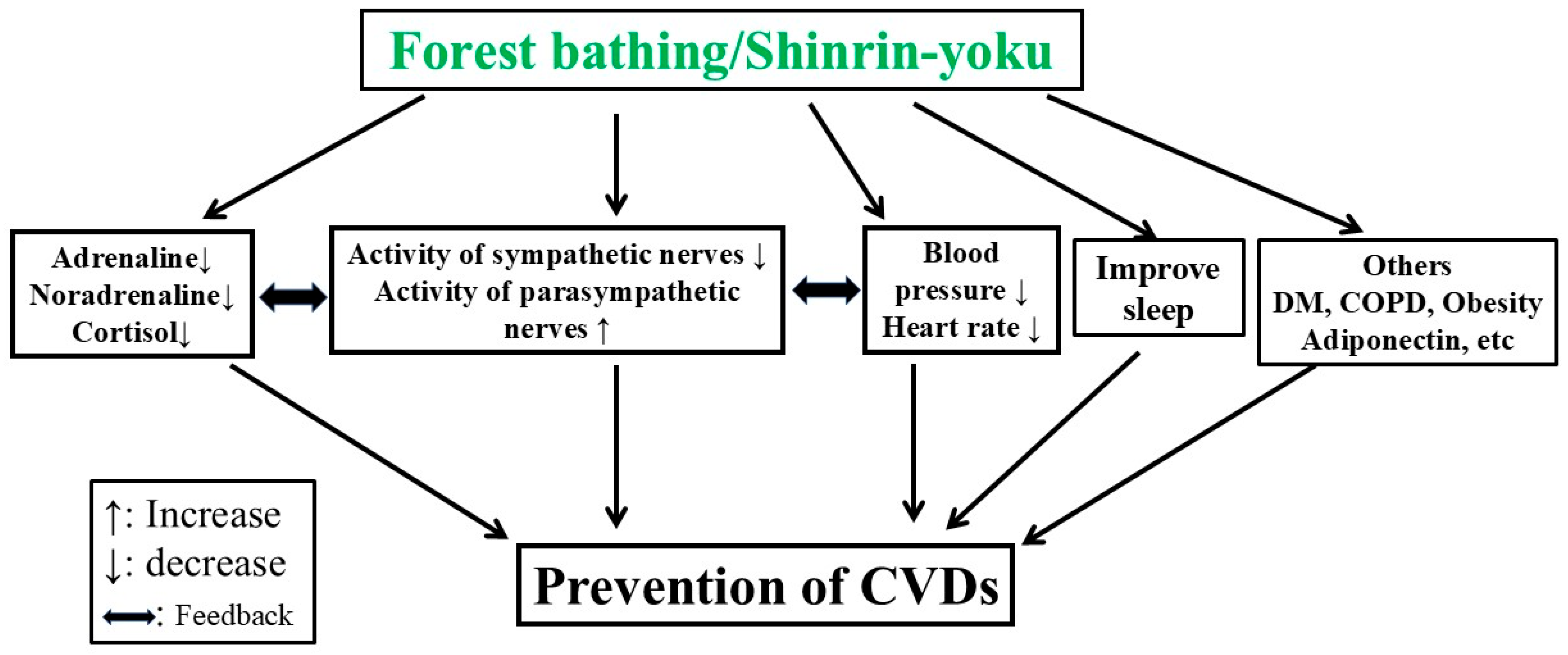 Forests 16 00310 g004