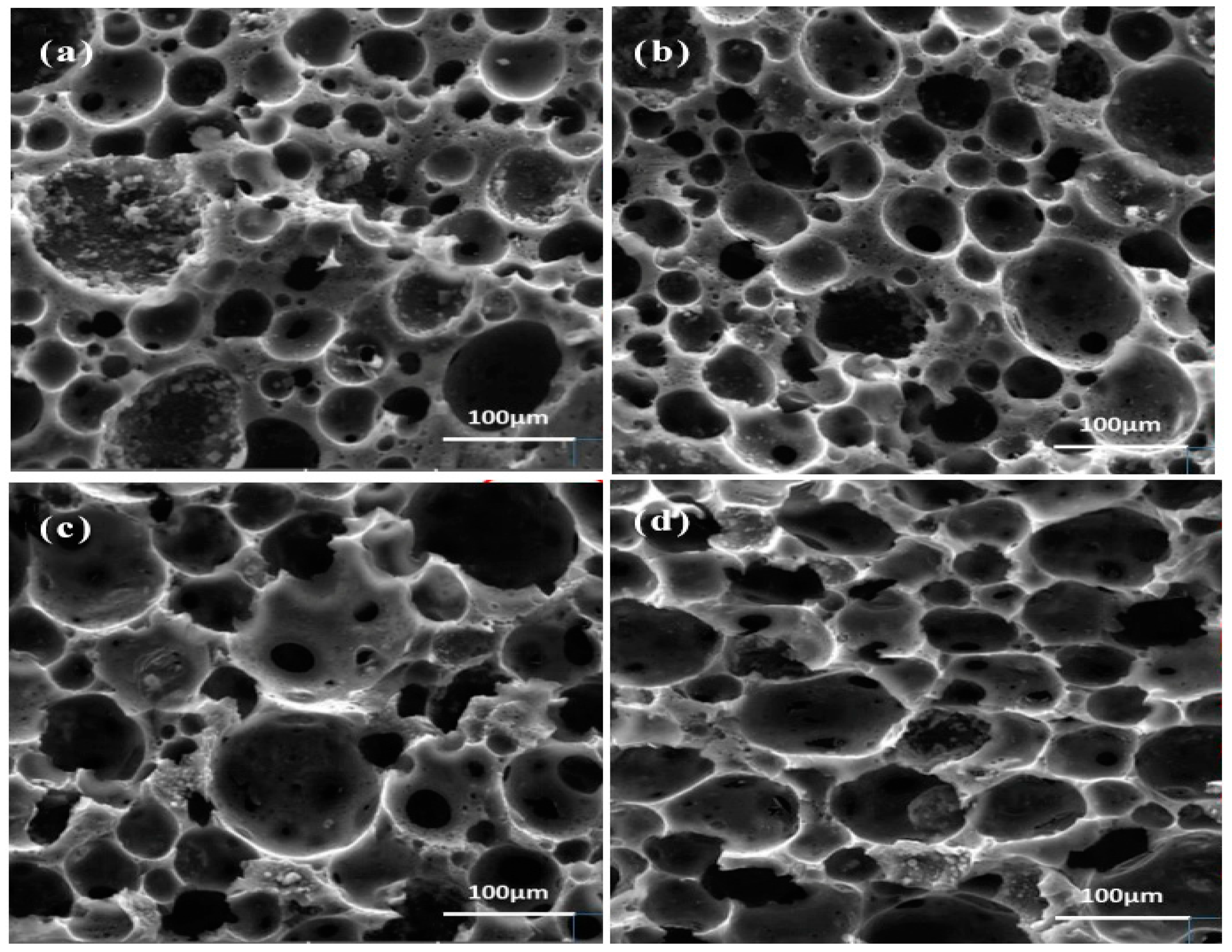 Forests 16 00311 g003