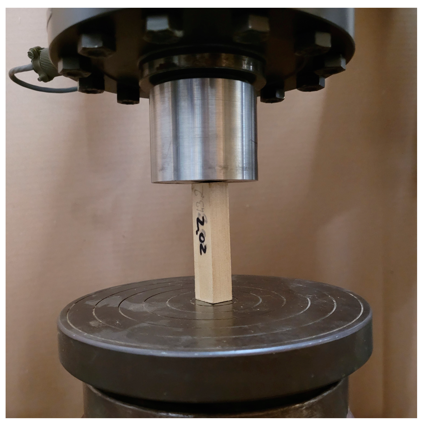 Forests 16 00323 g004