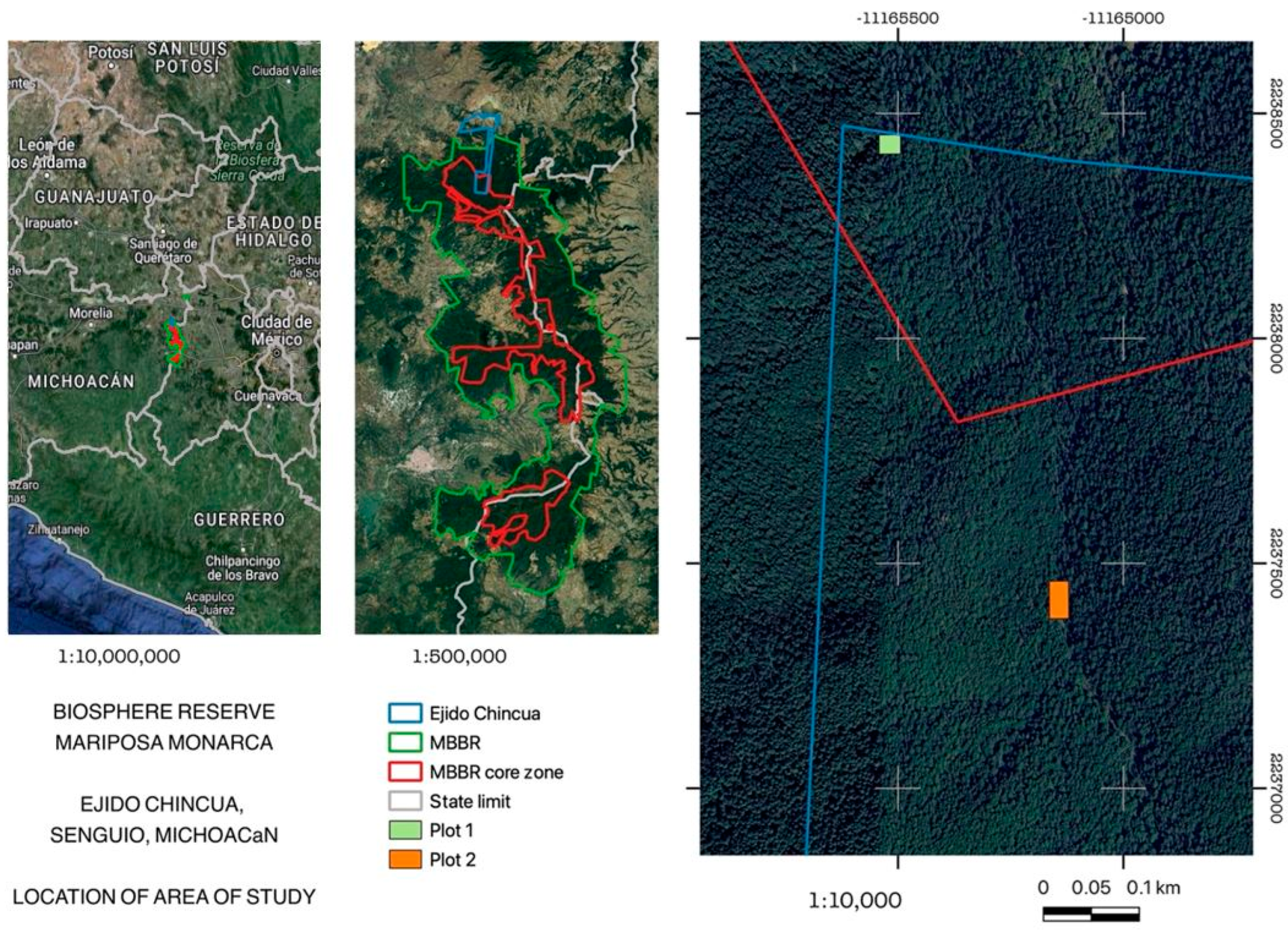 Forests 16 00334 g001