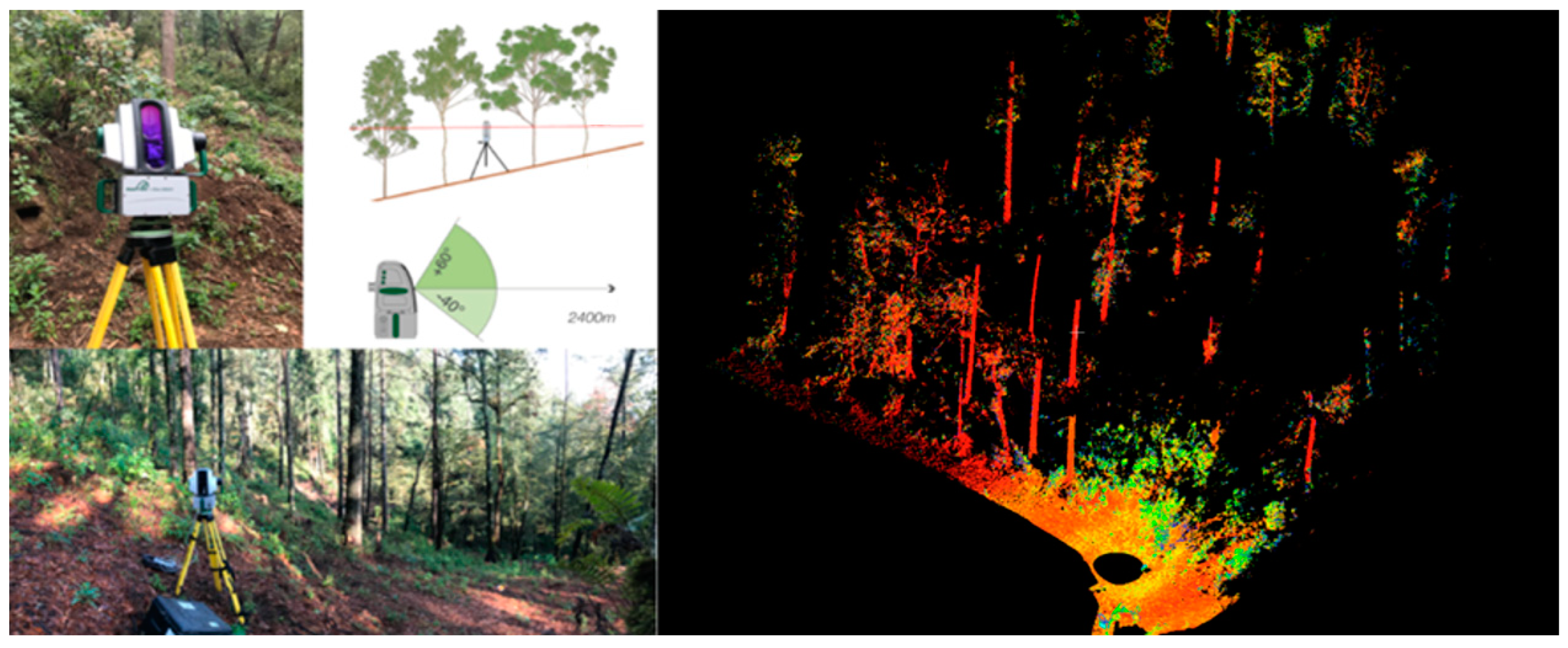 Forests 16 00334 g002