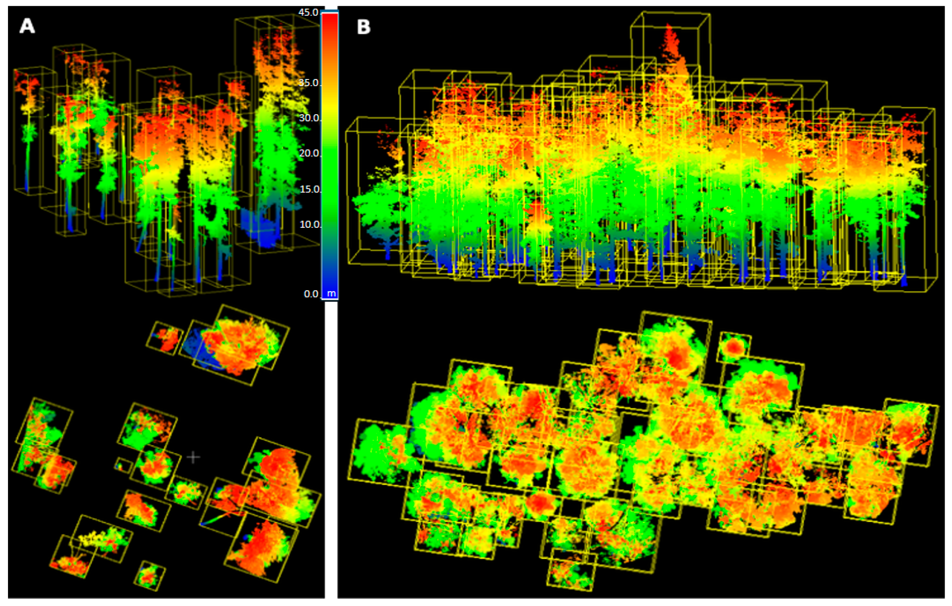 Forests 16 00334 g003