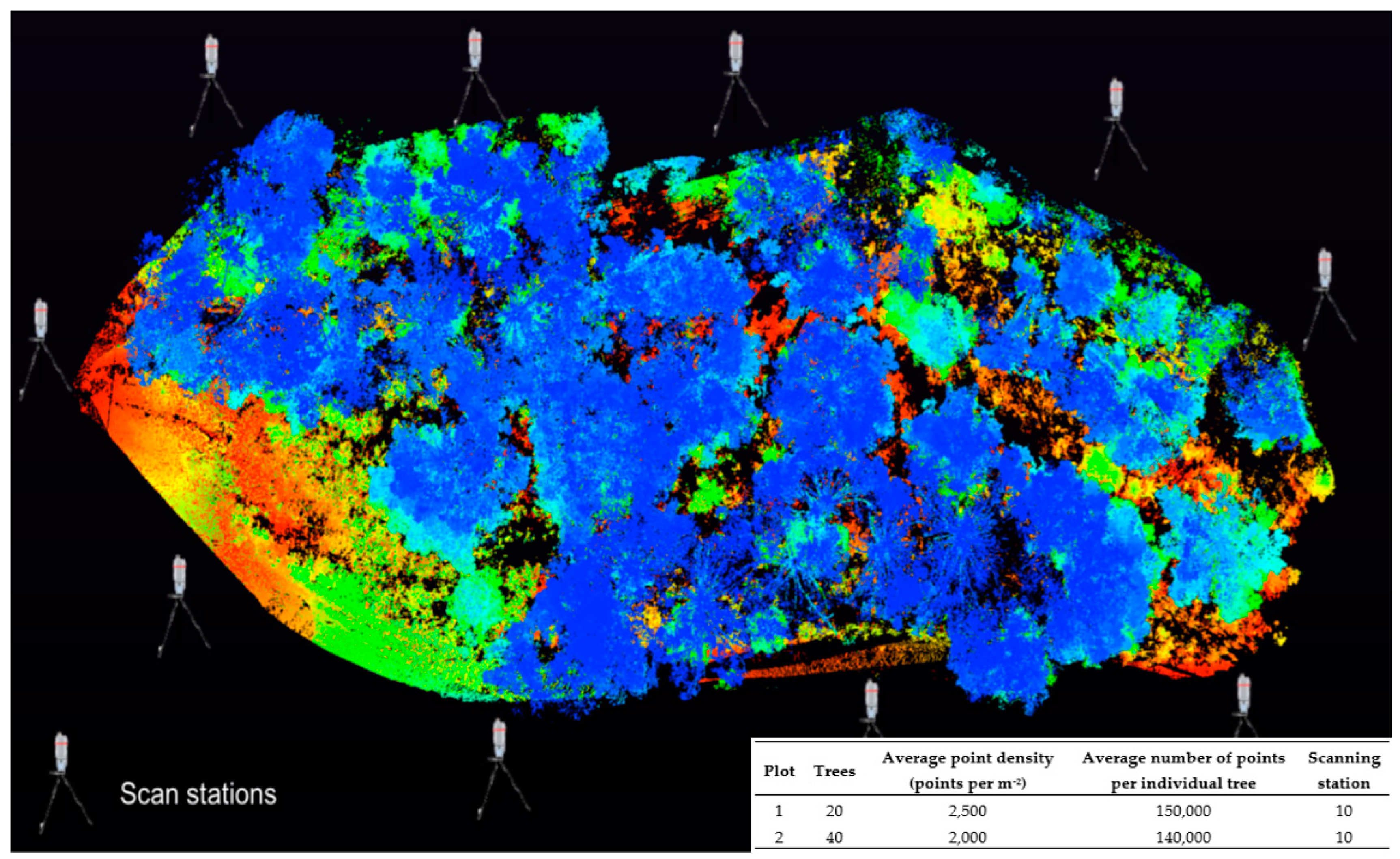 Forests 16 00334 g004