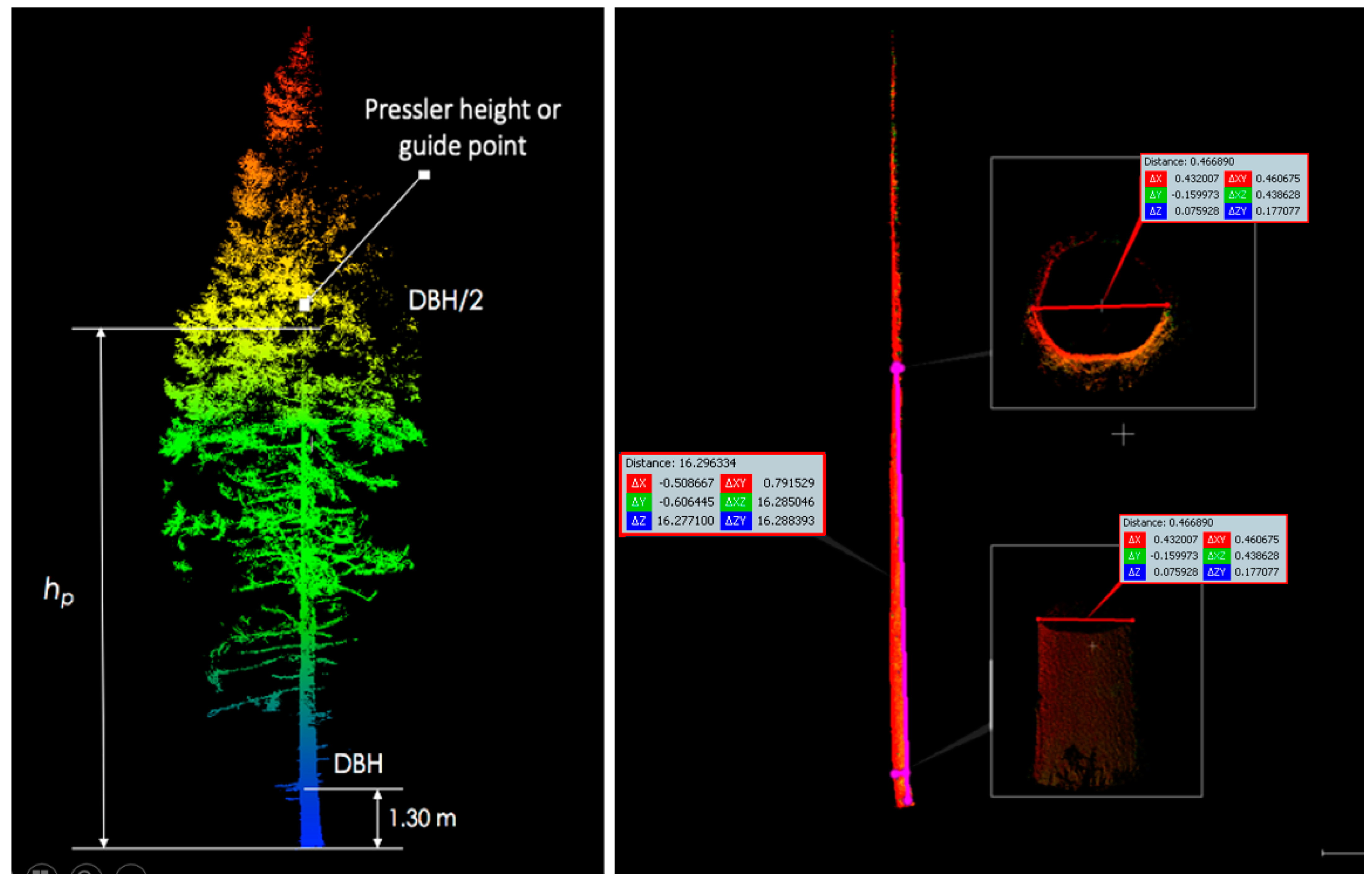 Forests 16 00334 g005