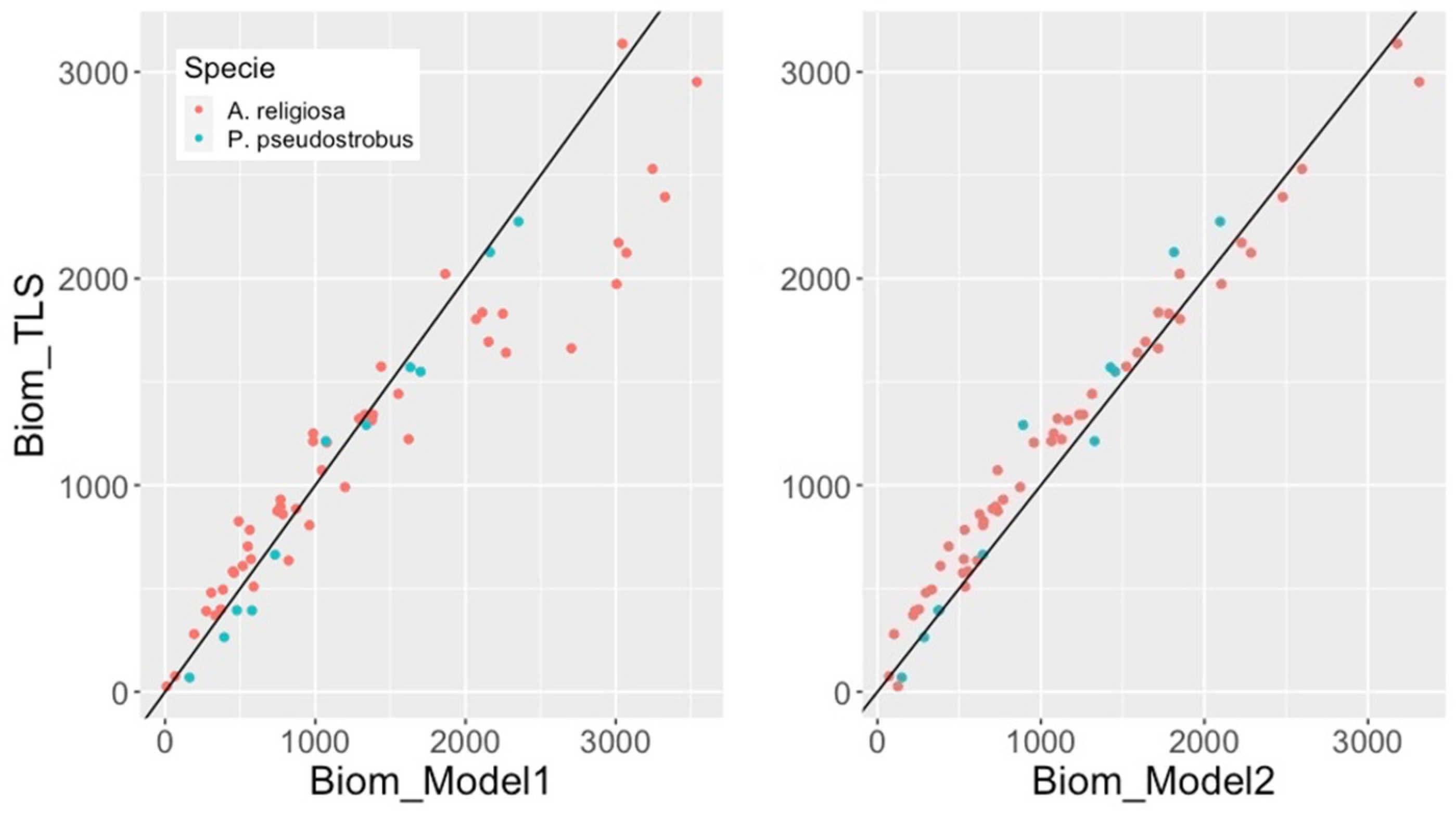 Forests 16 00334 g010