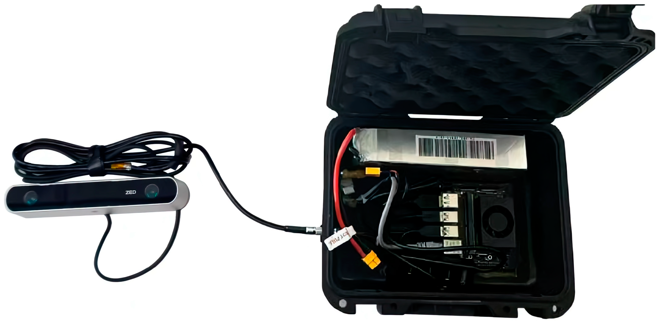 Forests 16 00335 g003