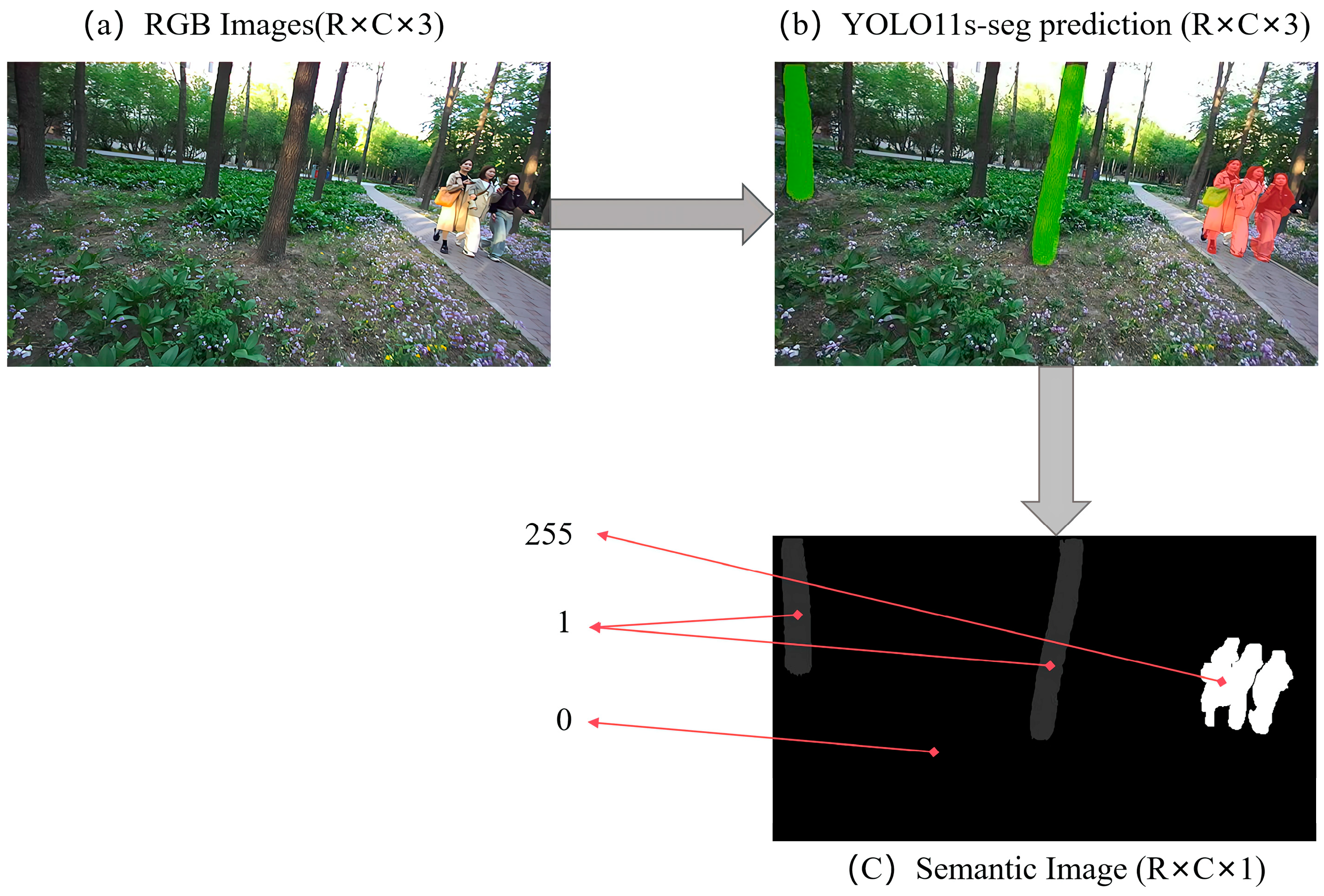 Forests 16 00335 g004