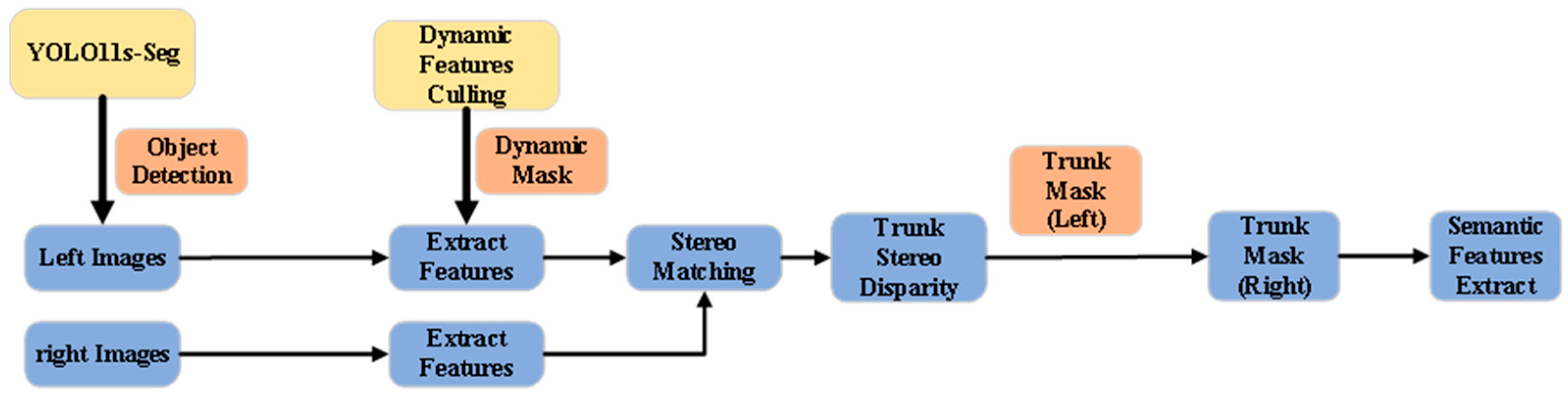 Forests 16 00335 g005