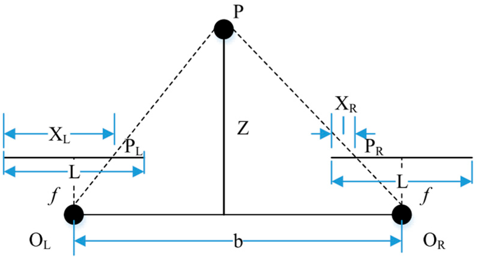 Forests 16 00335 g006