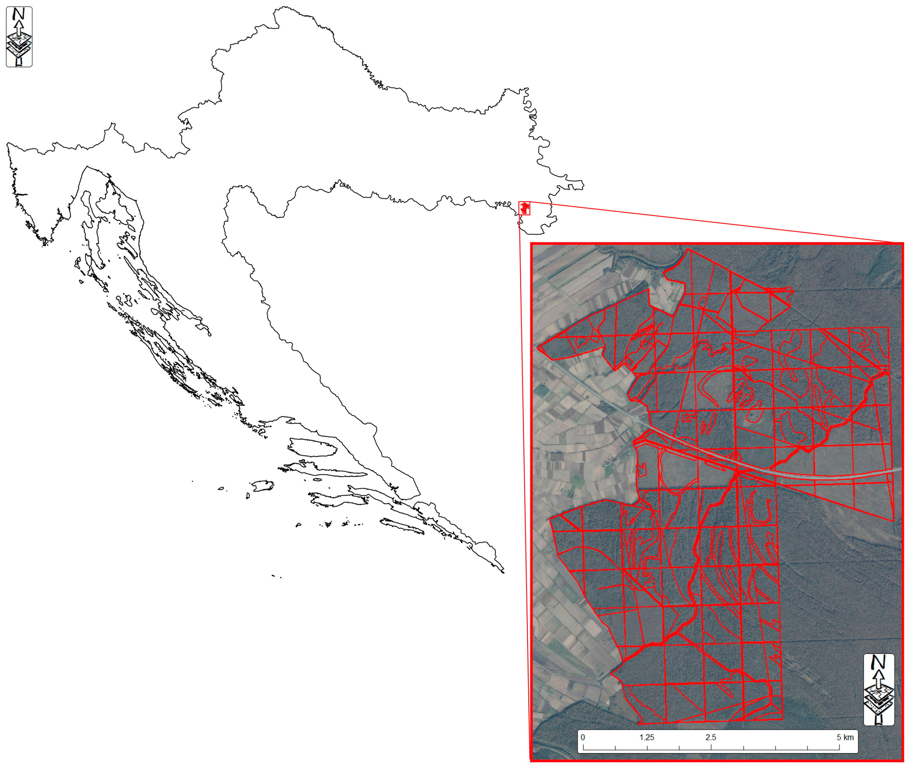 Forests 16 00340 g001