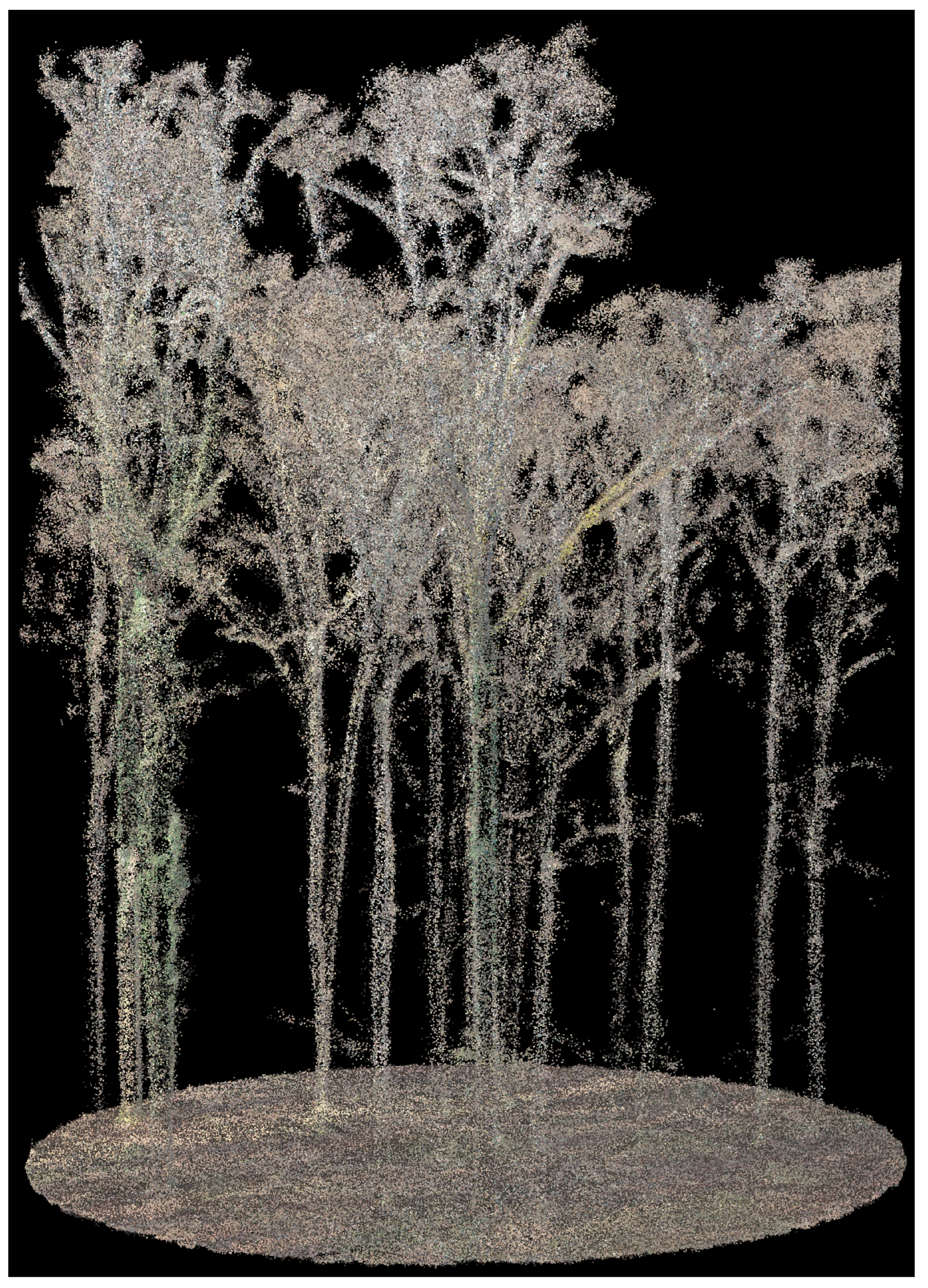 Forests 16 00340 g006