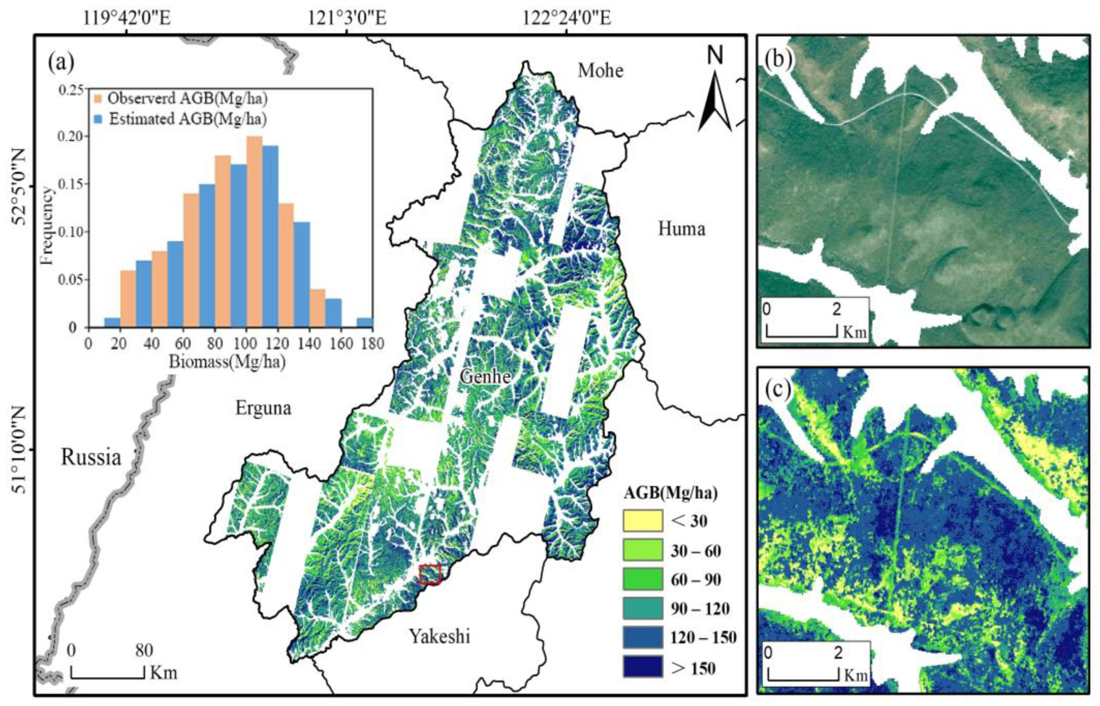 Forests 16 00347 g006