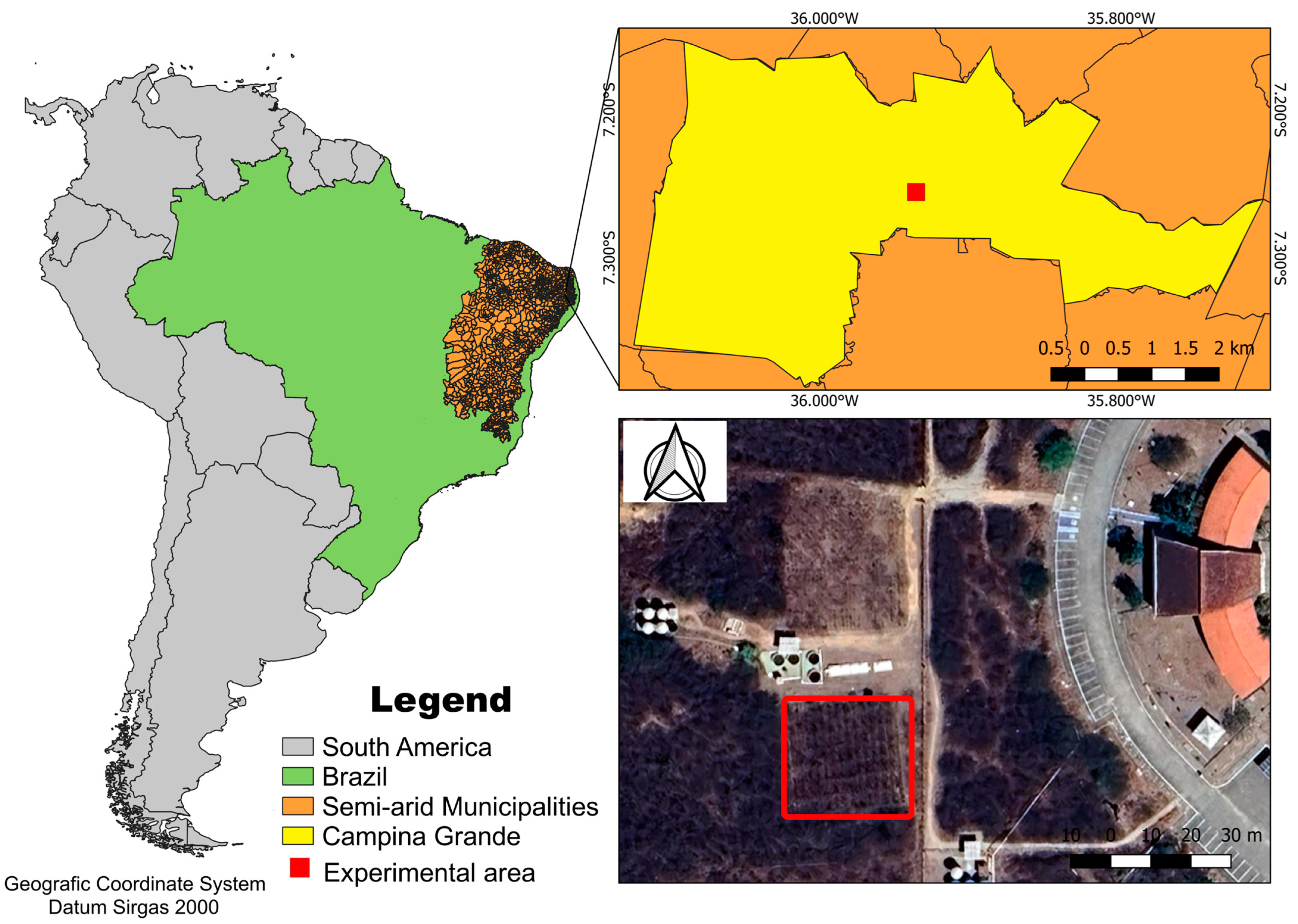 Forests 16 00354 g001