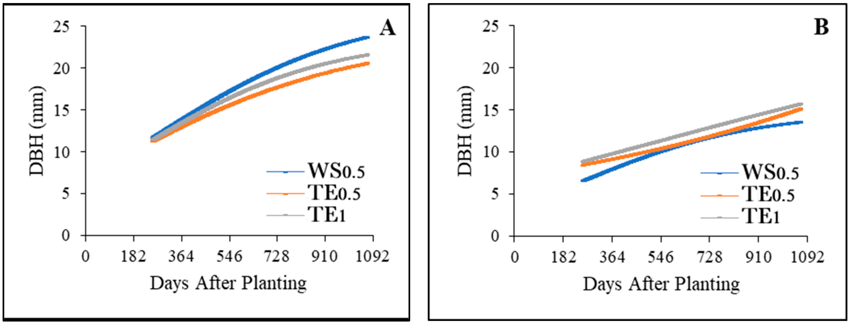 Forests 16 00354 g004
