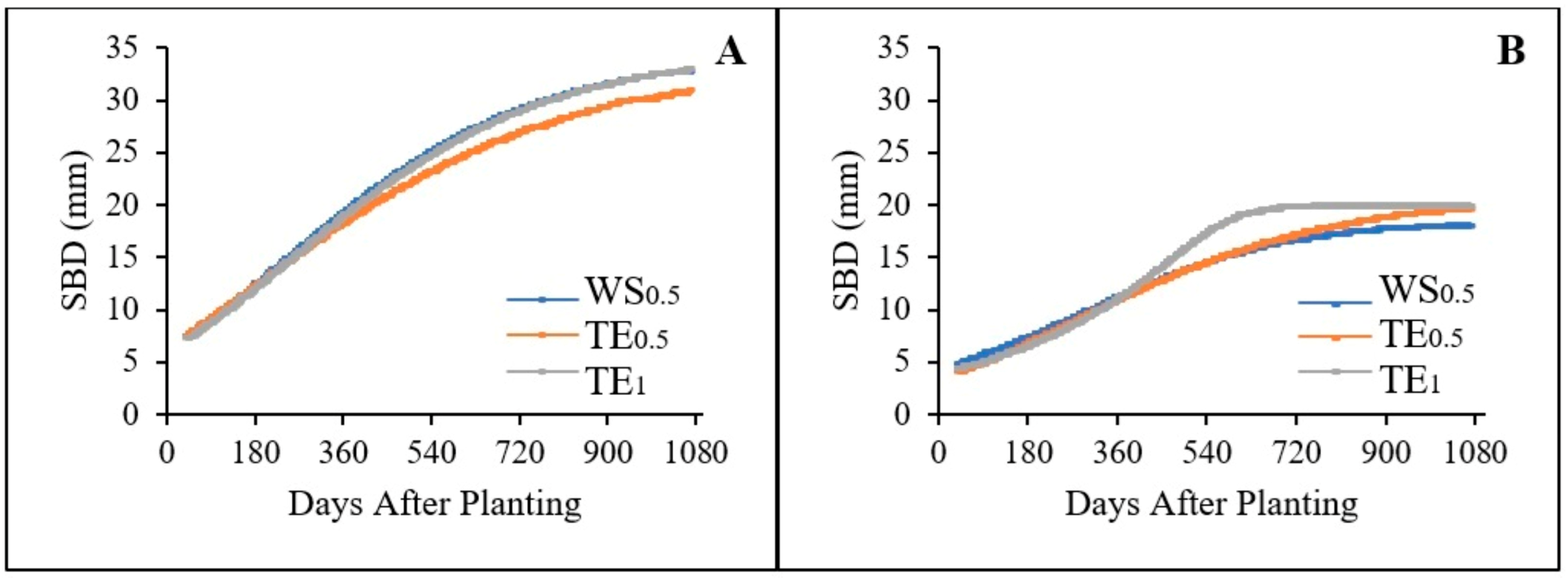 Forests 16 00354 g005