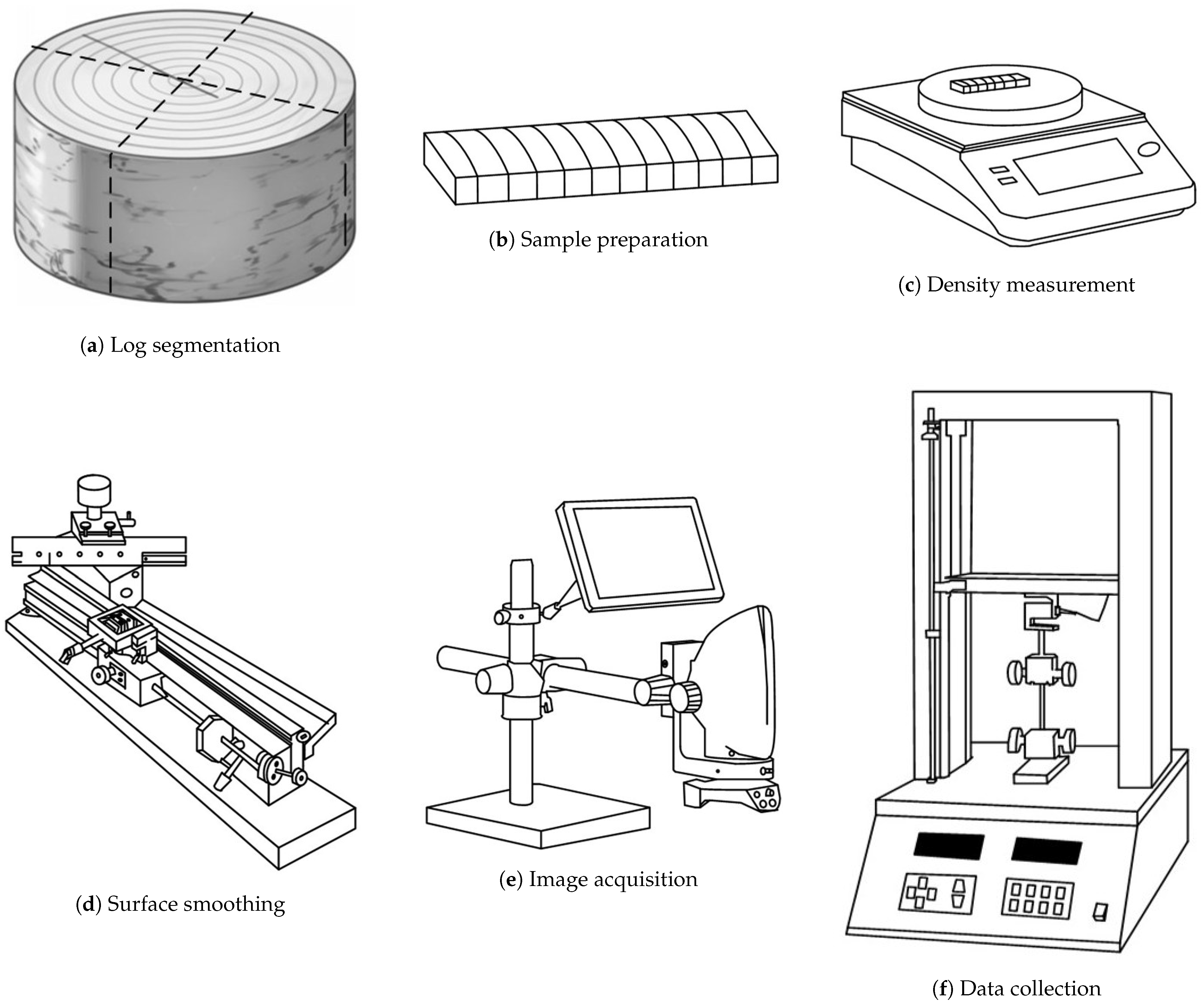 Forests 16 00355 g001