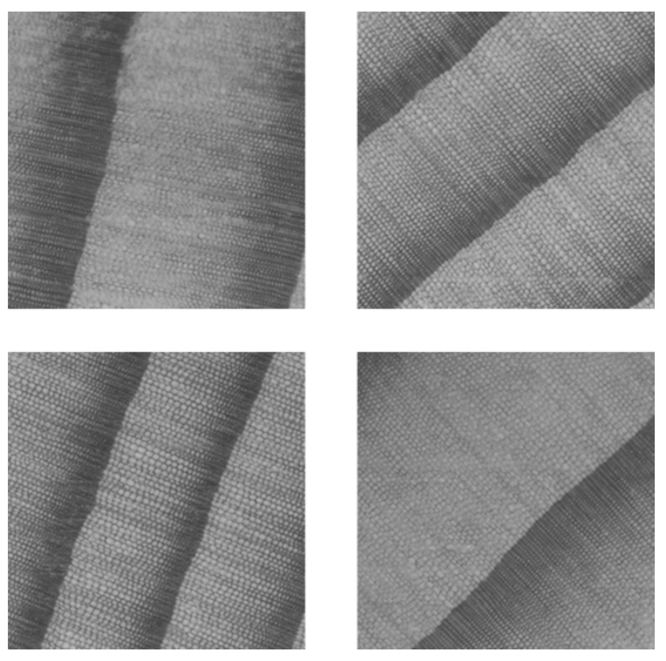 Forests 16 00355 g002