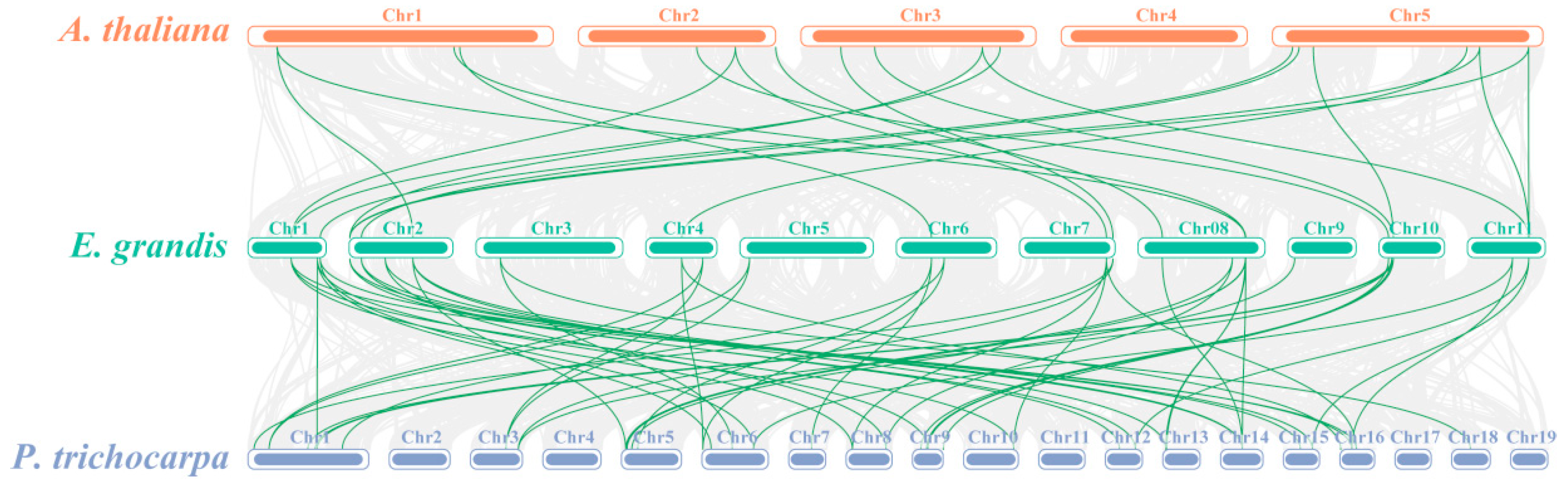 Forests 16 00361 g003