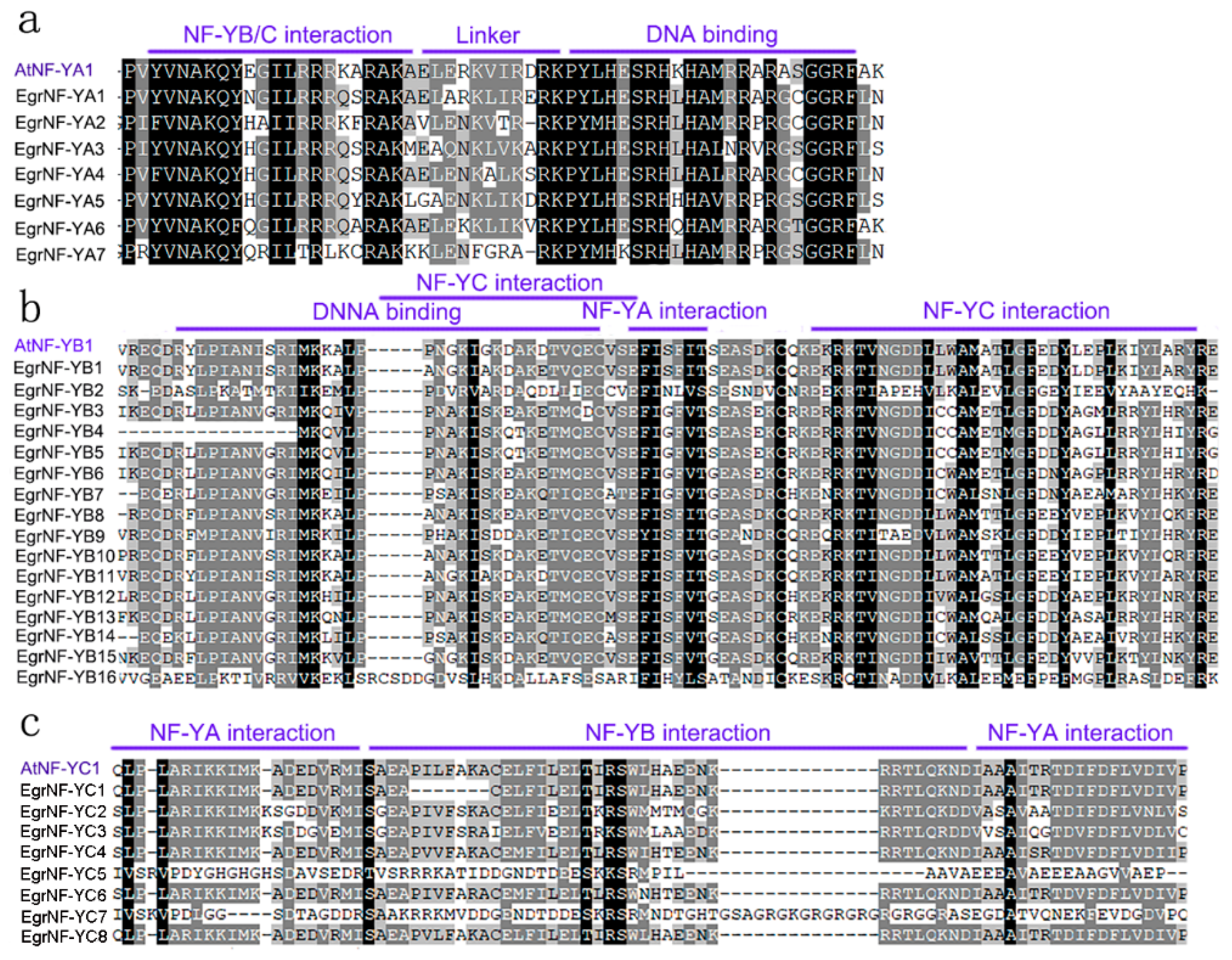 Forests 16 00361 g004