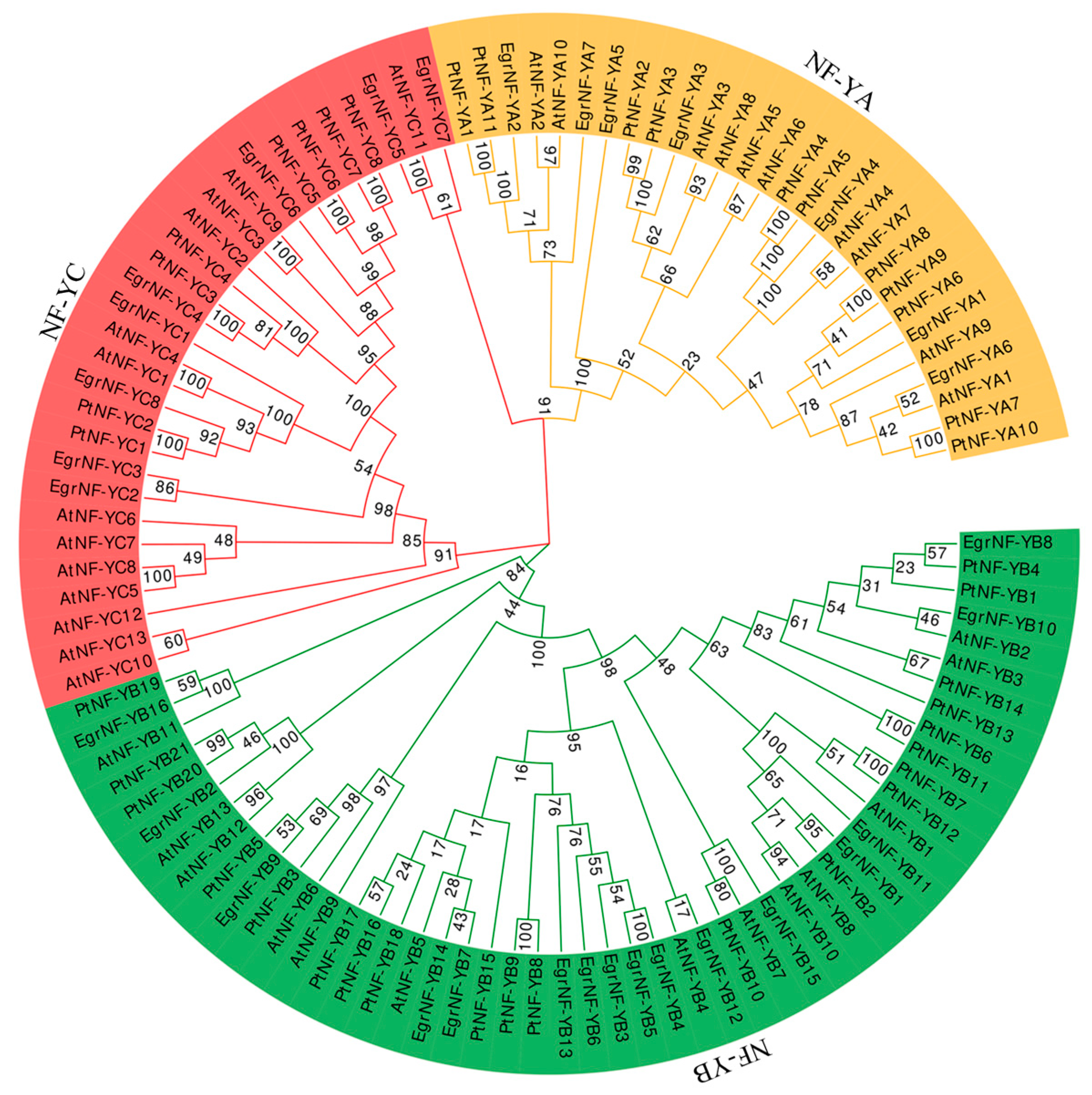 Forests 16 00361 g005