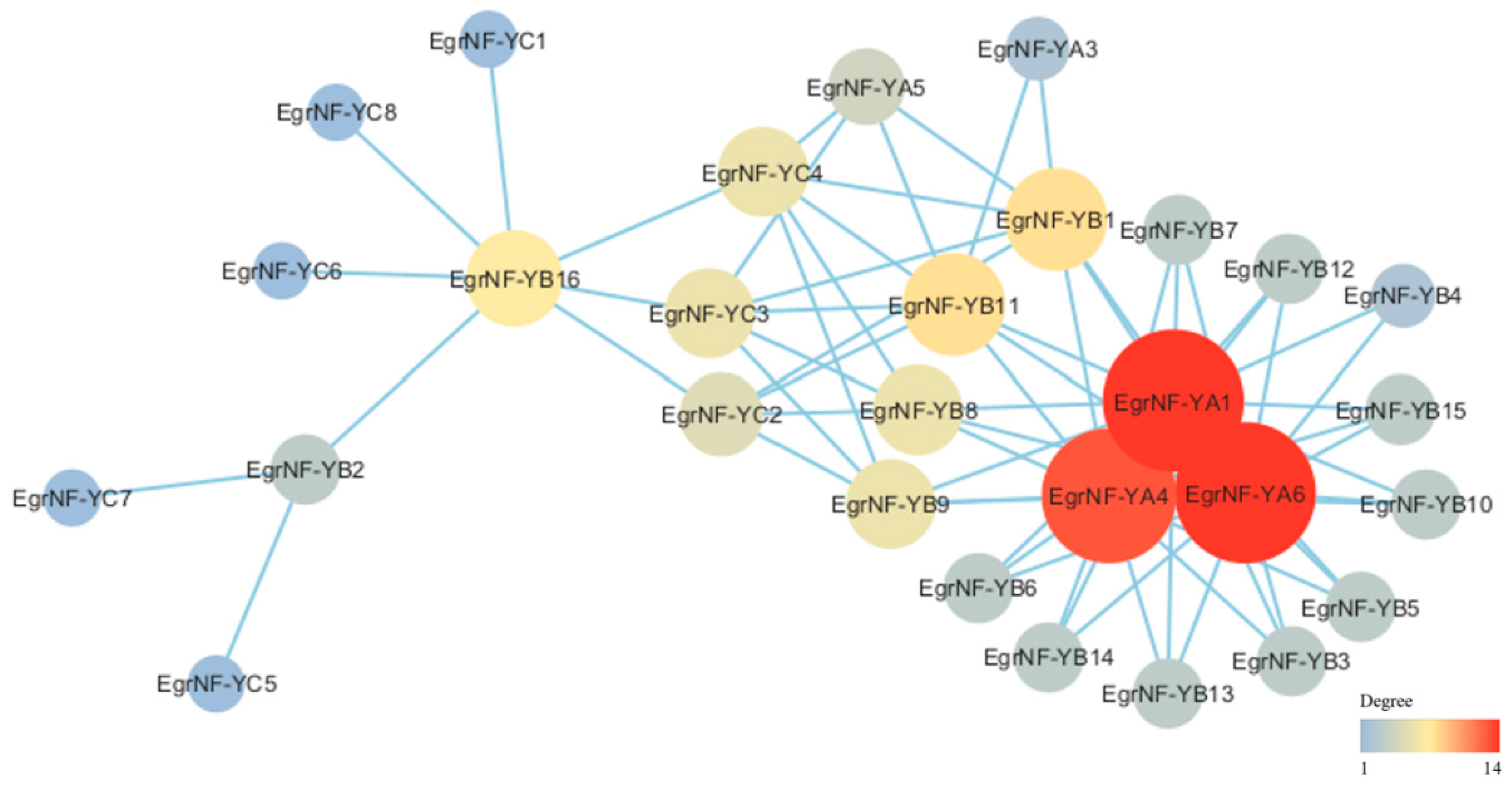 Forests 16 00361 g006