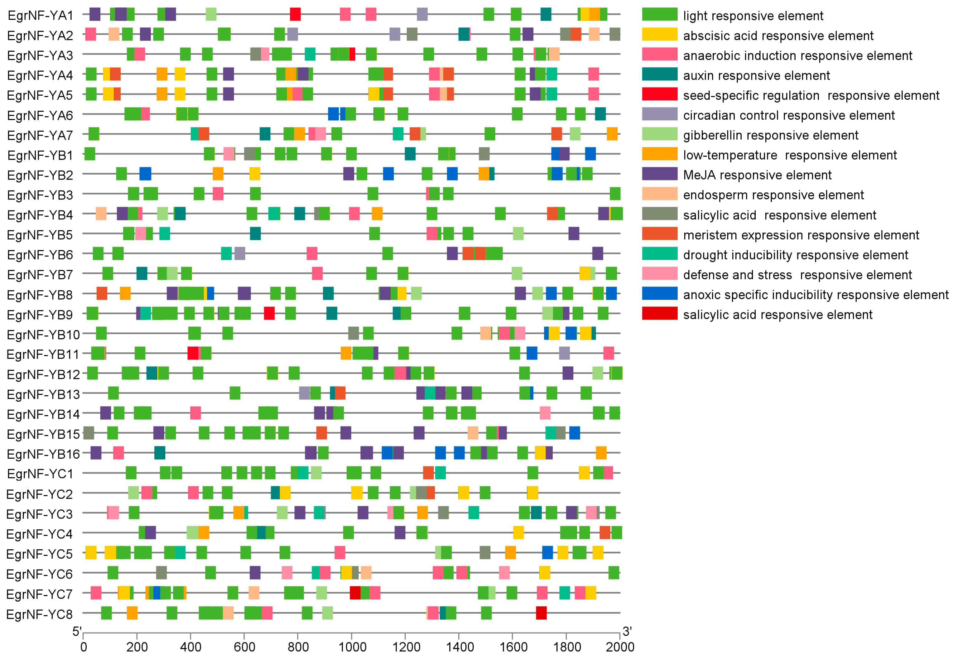 Forests 16 00361 g007