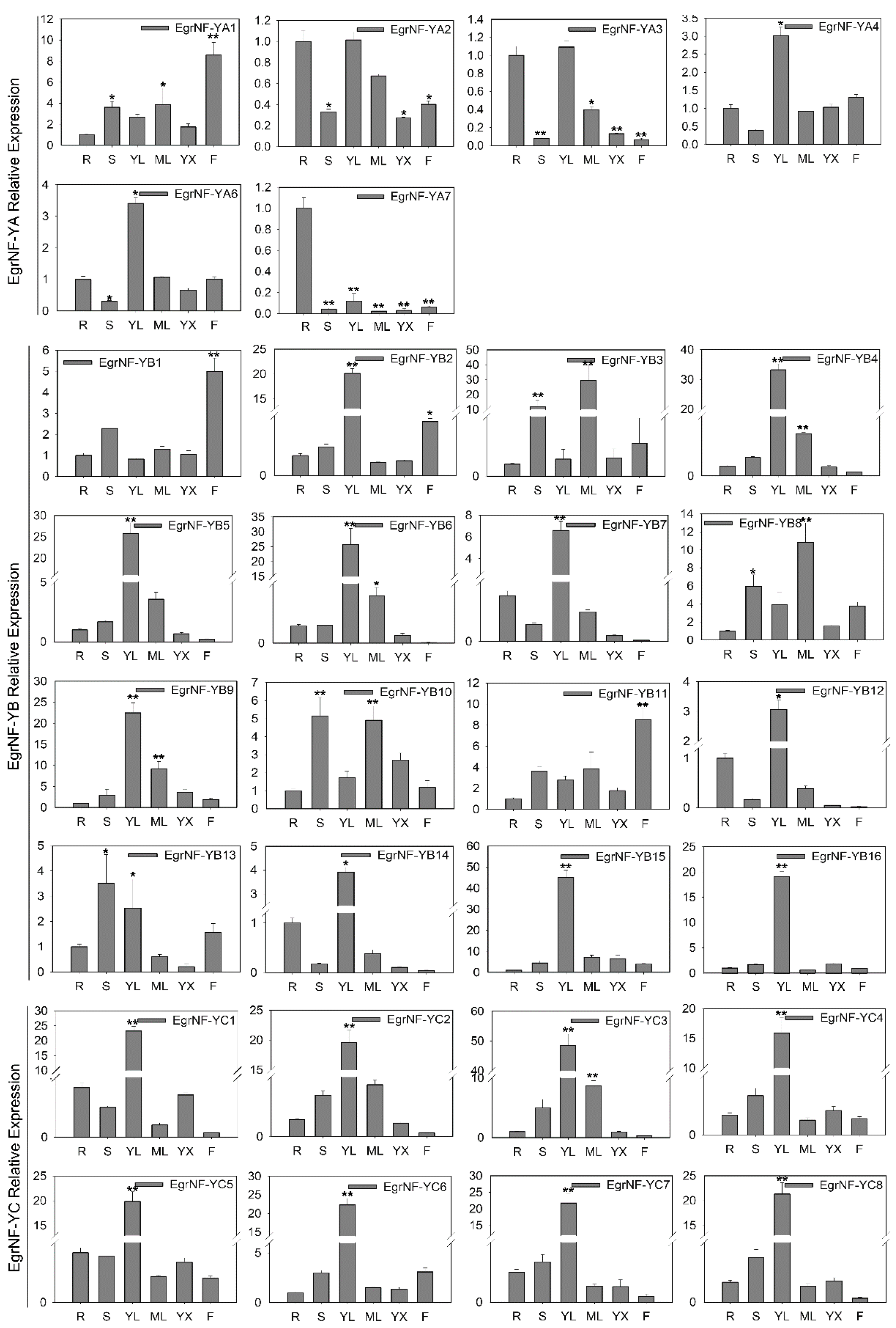 Forests 16 00361 g008