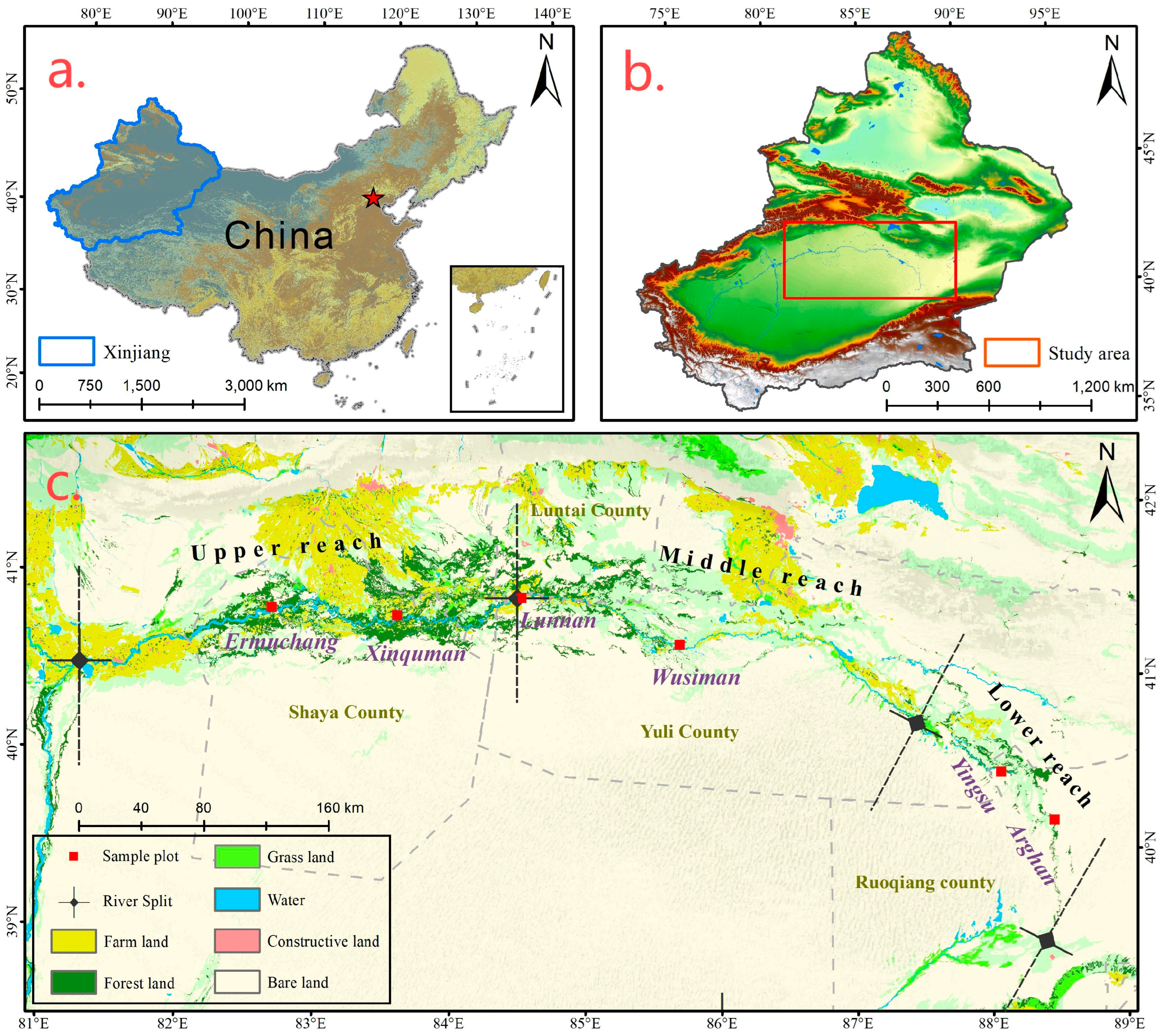 Forests 16 00368 g001