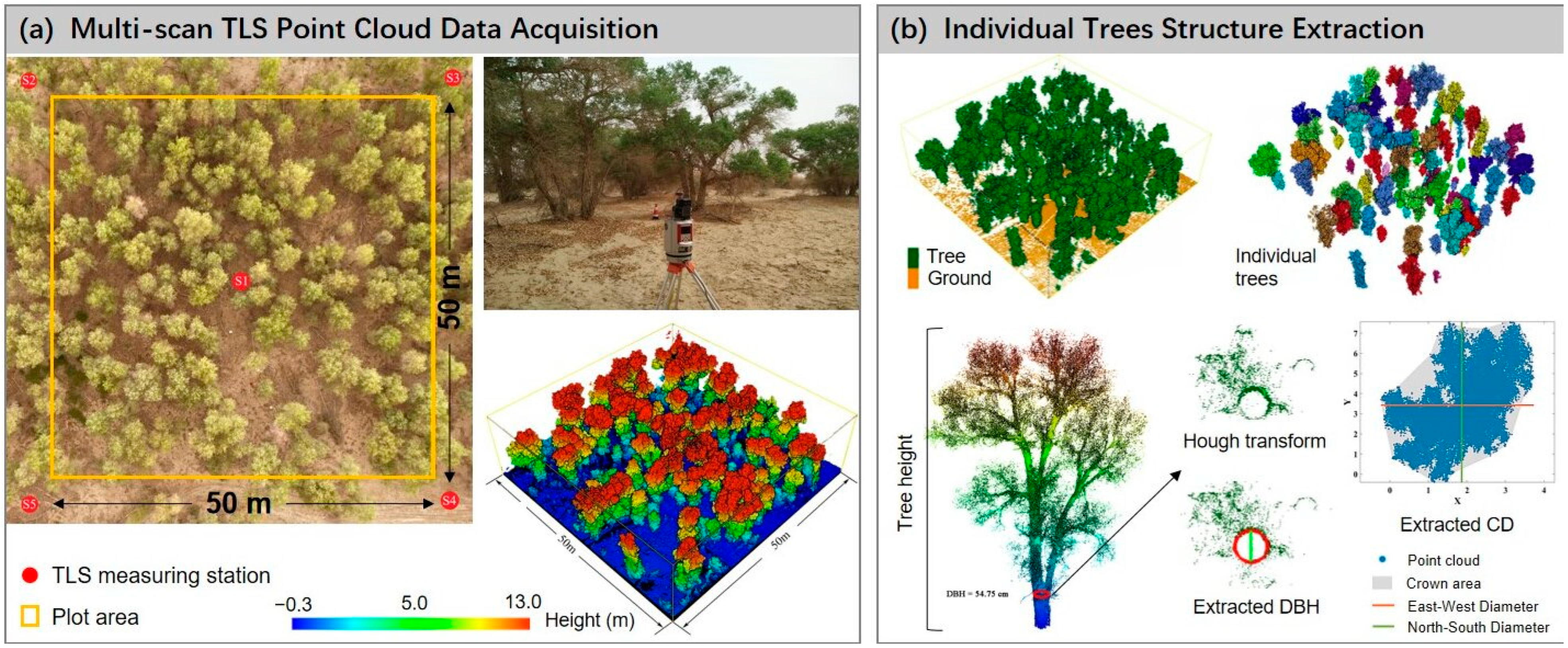 Forests 16 00368 g002