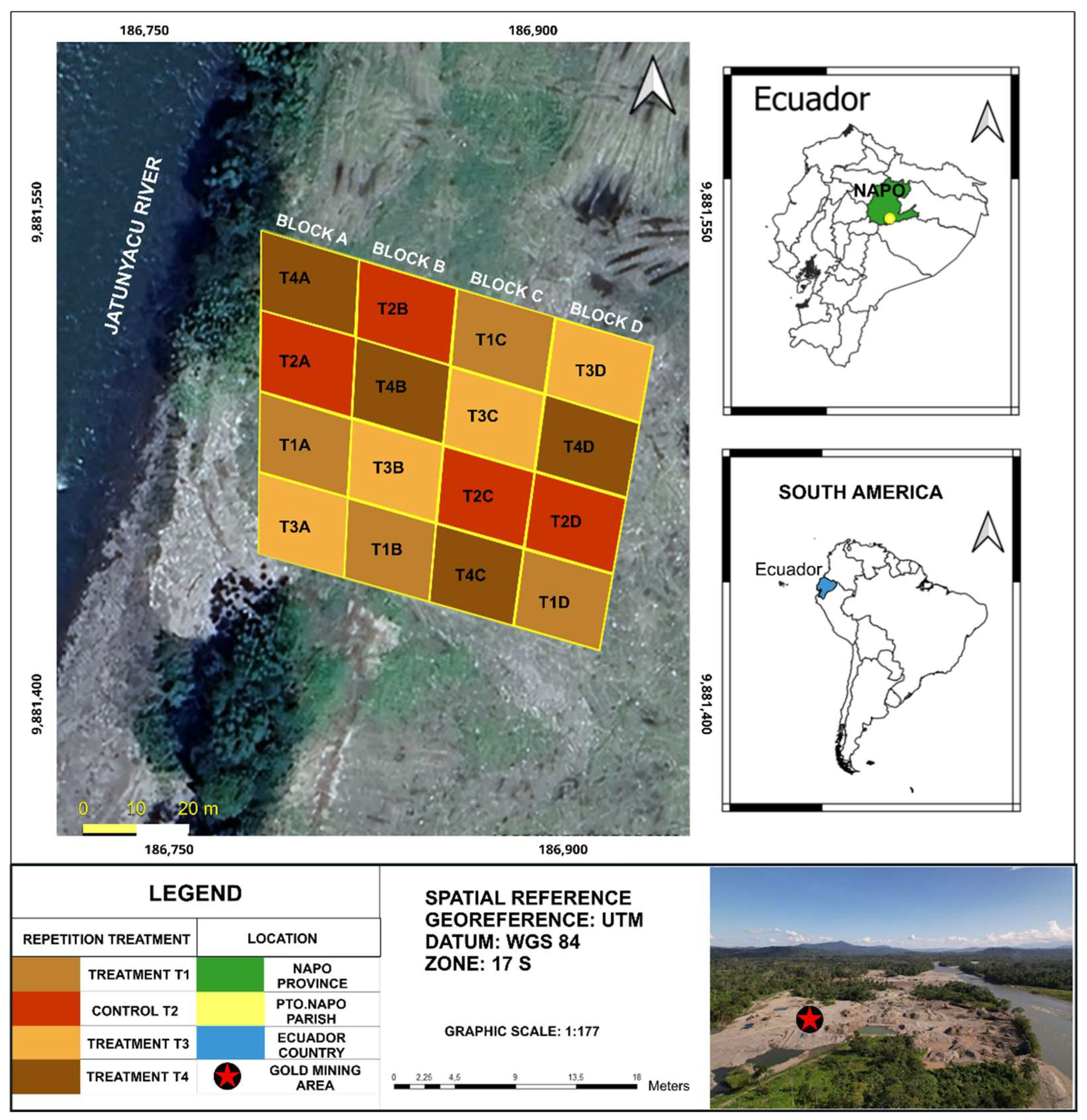 Forests 16 00372 g001