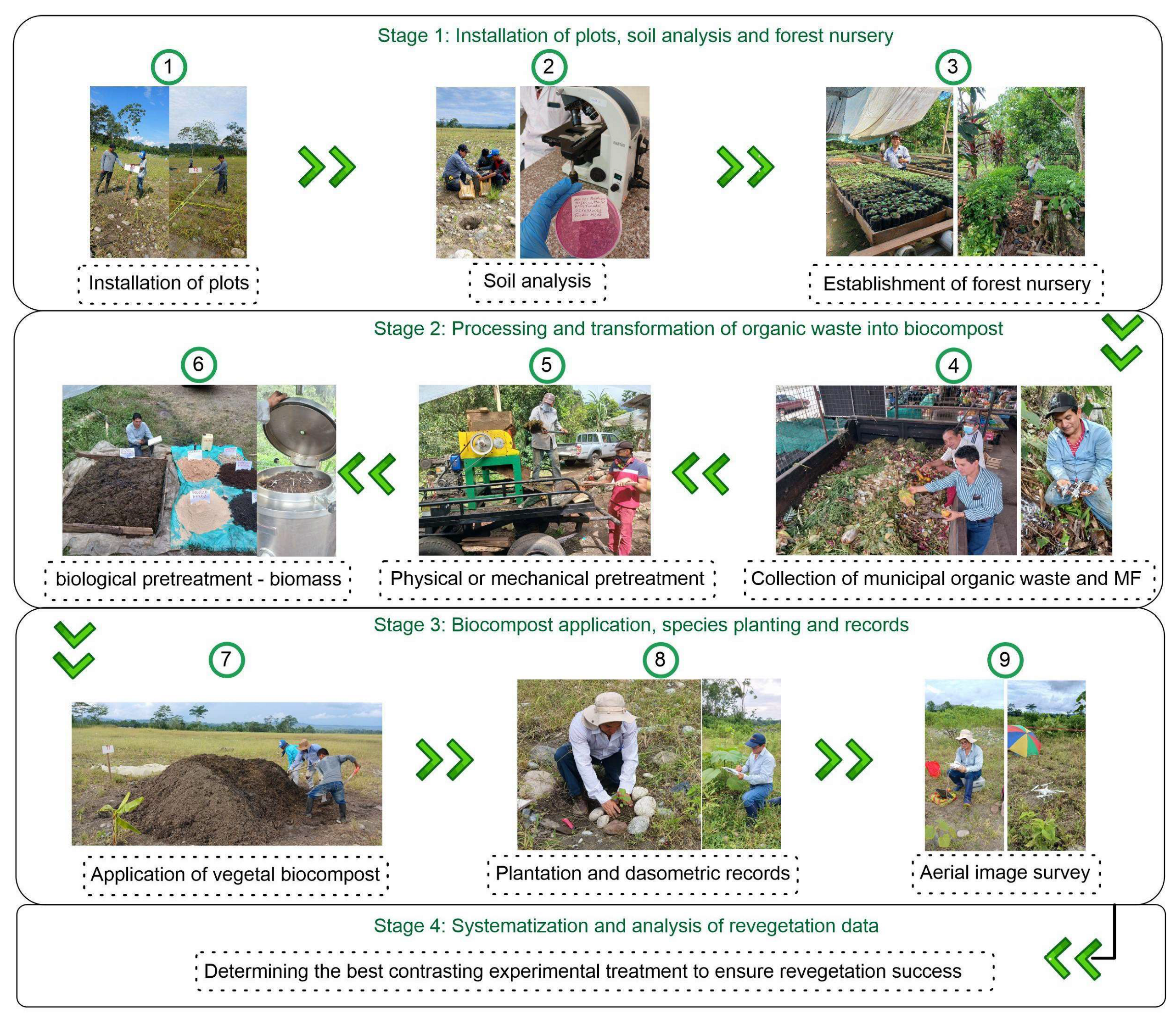 Forests 16 00372 g002