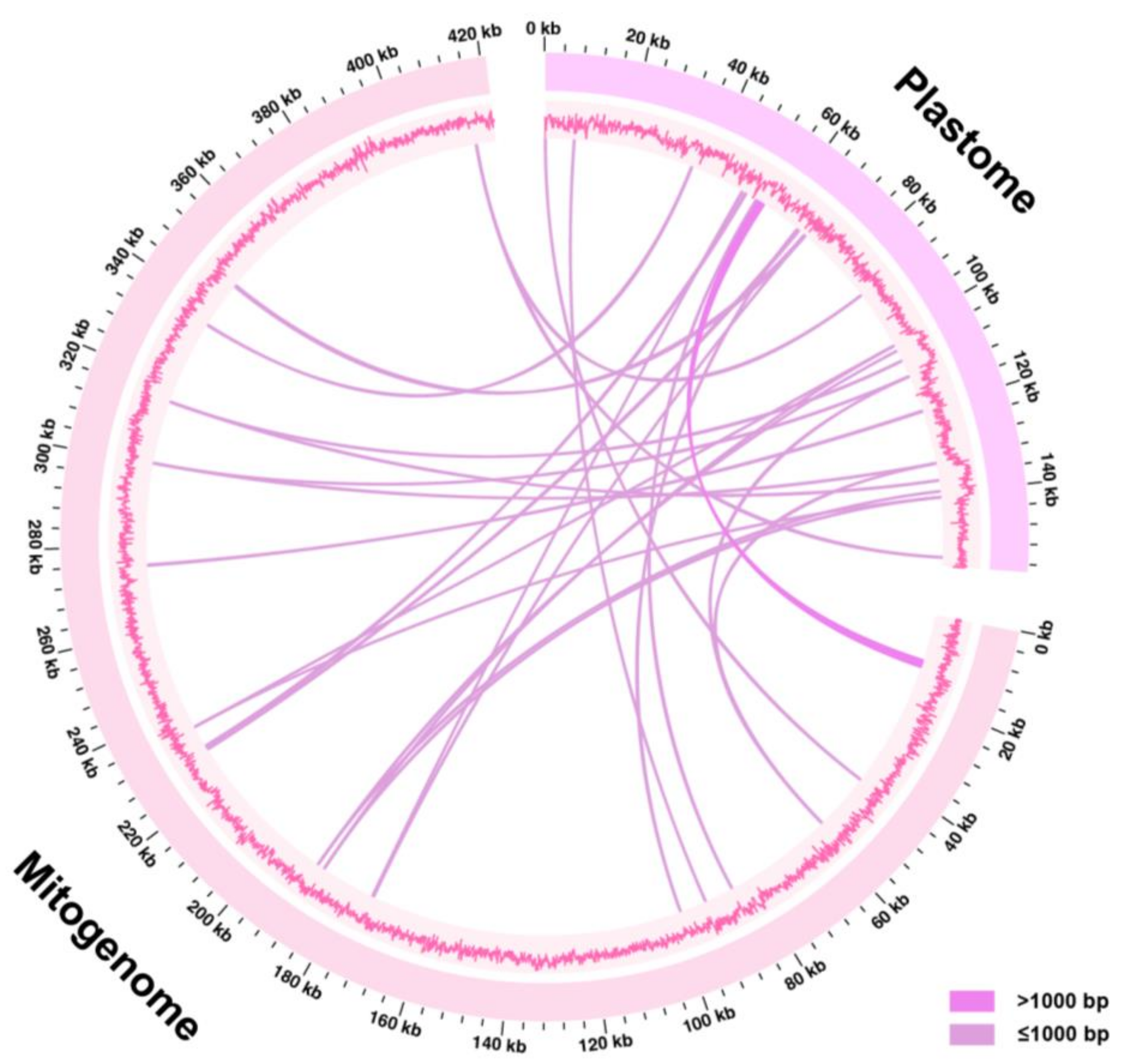Forests 16 00385 g003