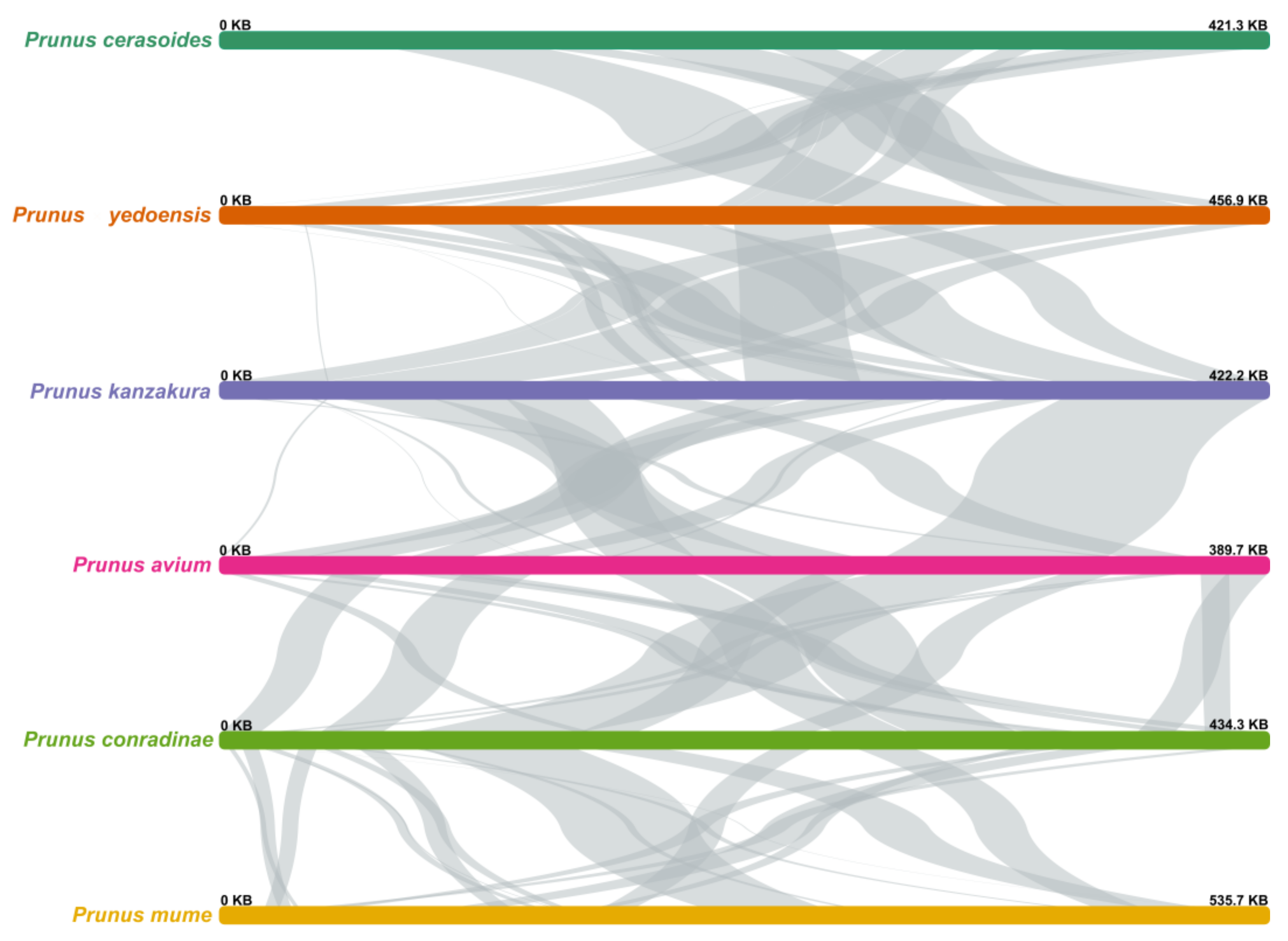 Forests 16 00385 g005