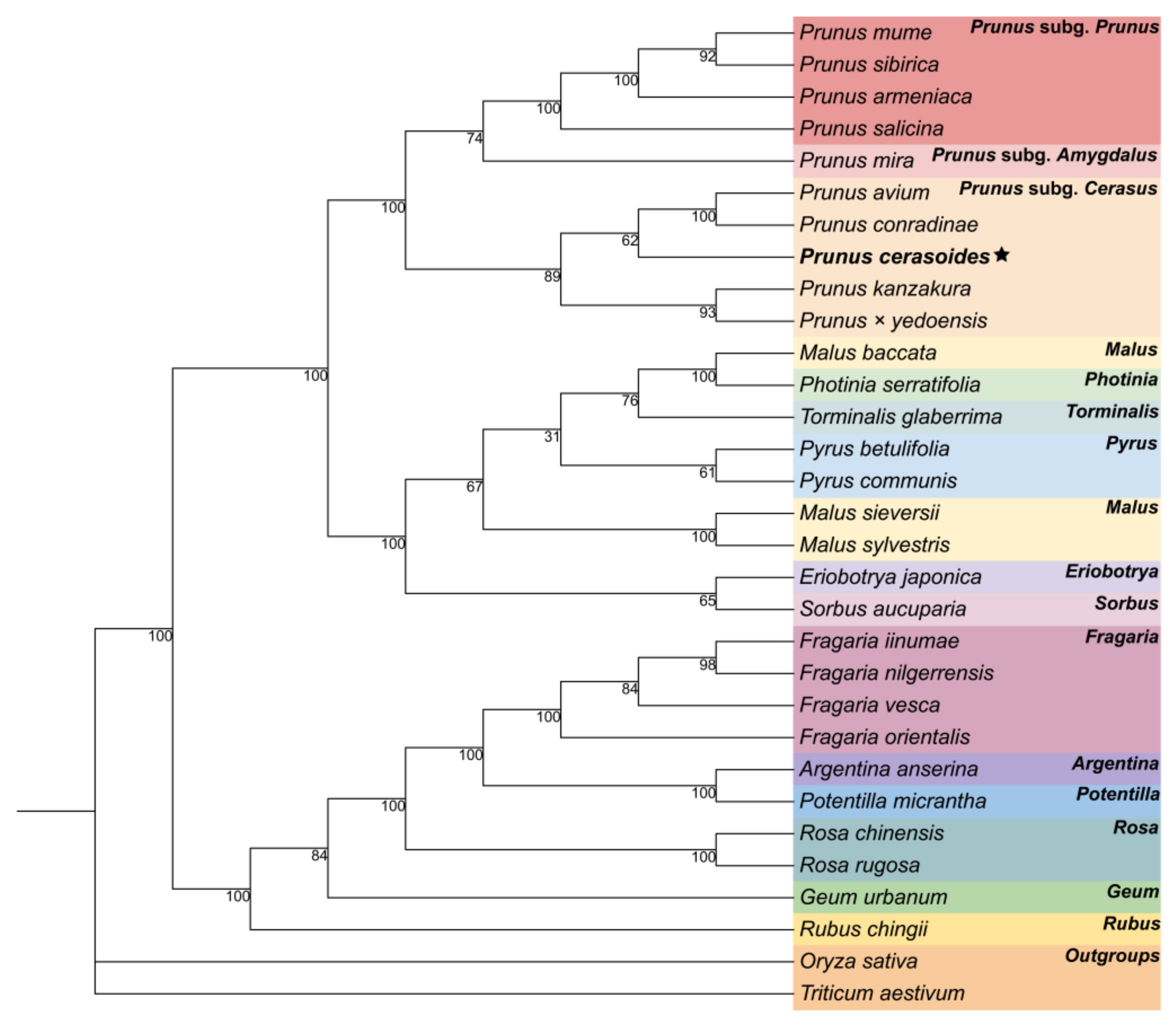 Forests 16 00385 g006