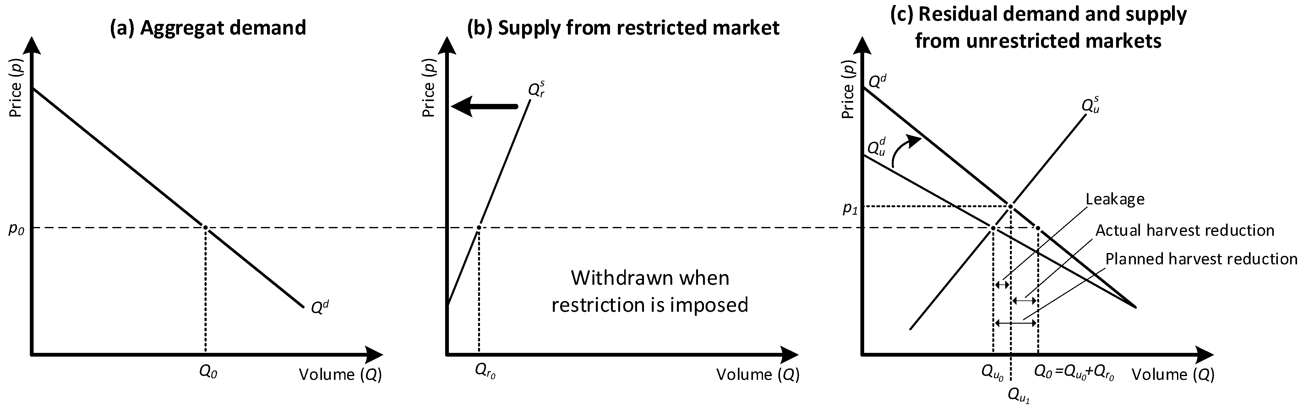 Forests 16 00407 g001