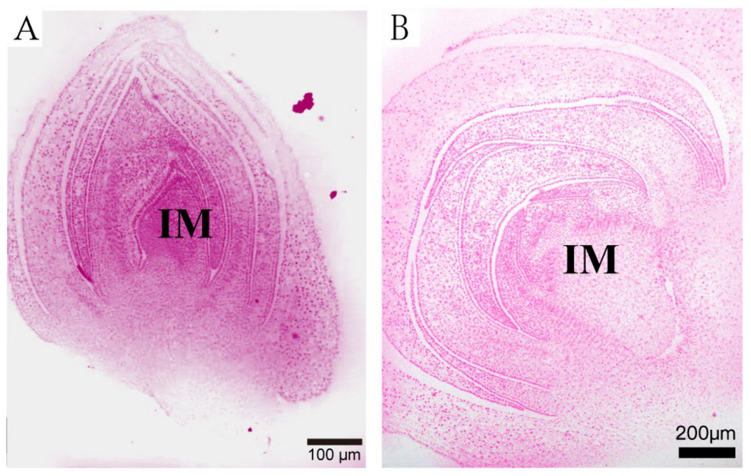 Forests 16 00409 g003