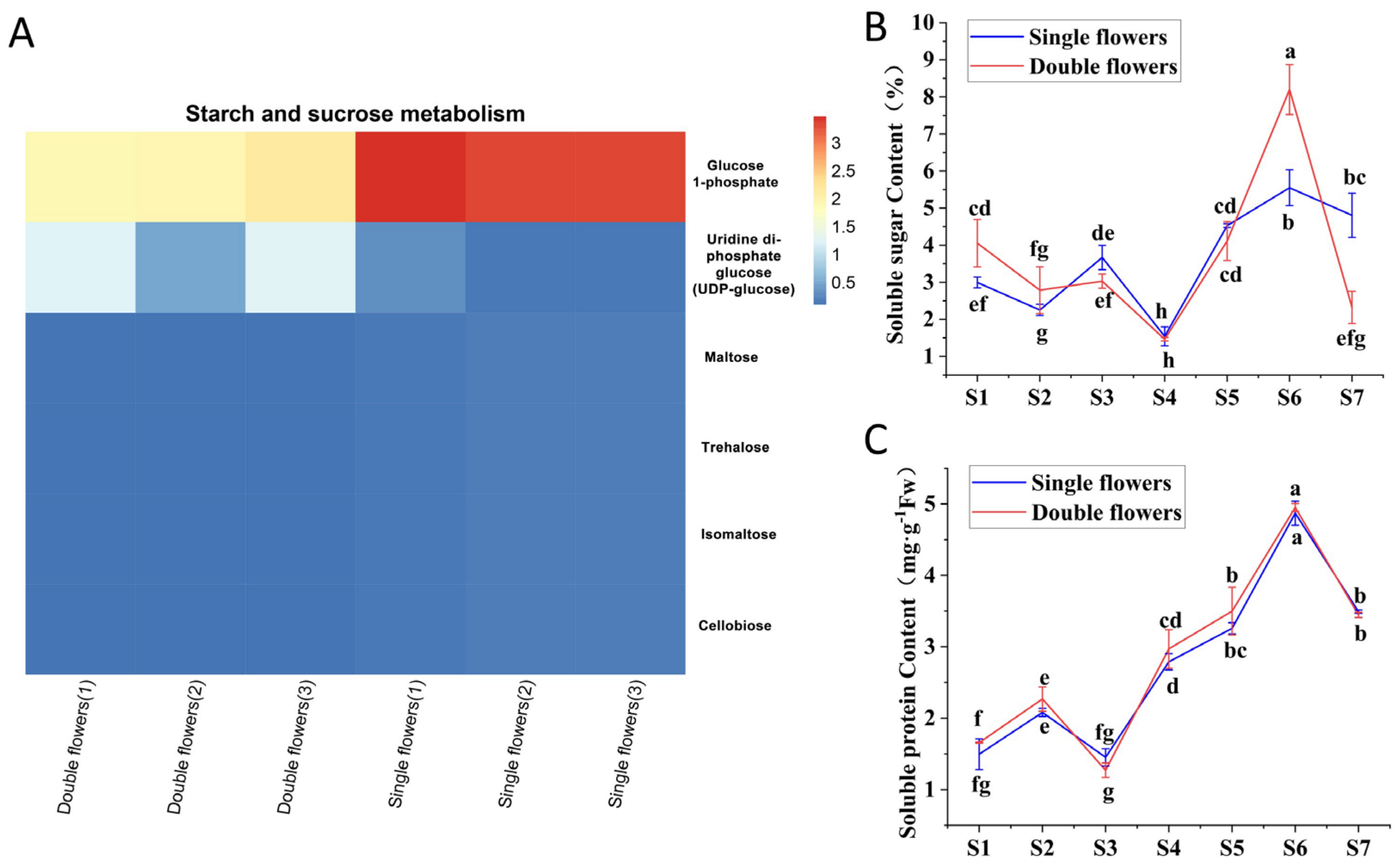 Forests 16 00409 g010