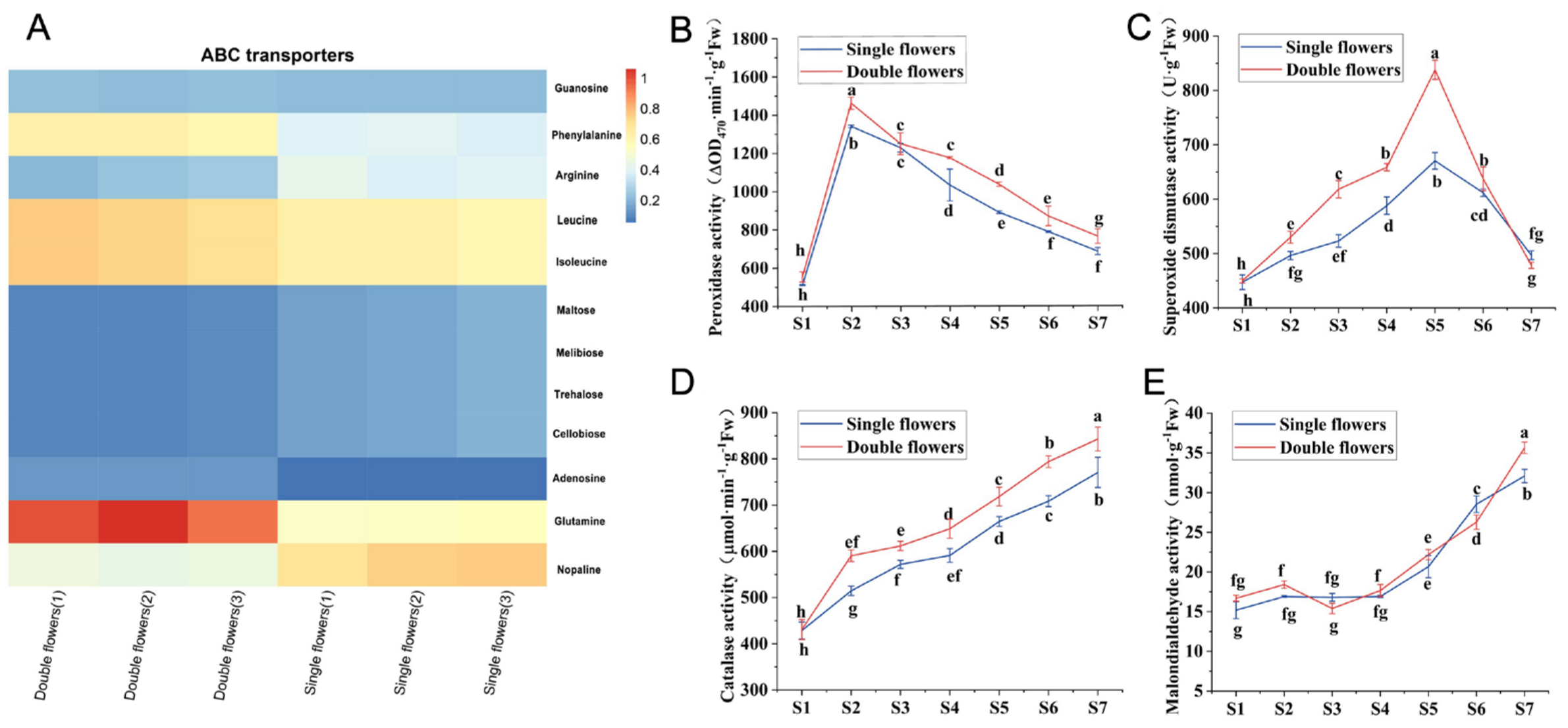 Forests 16 00409 g014