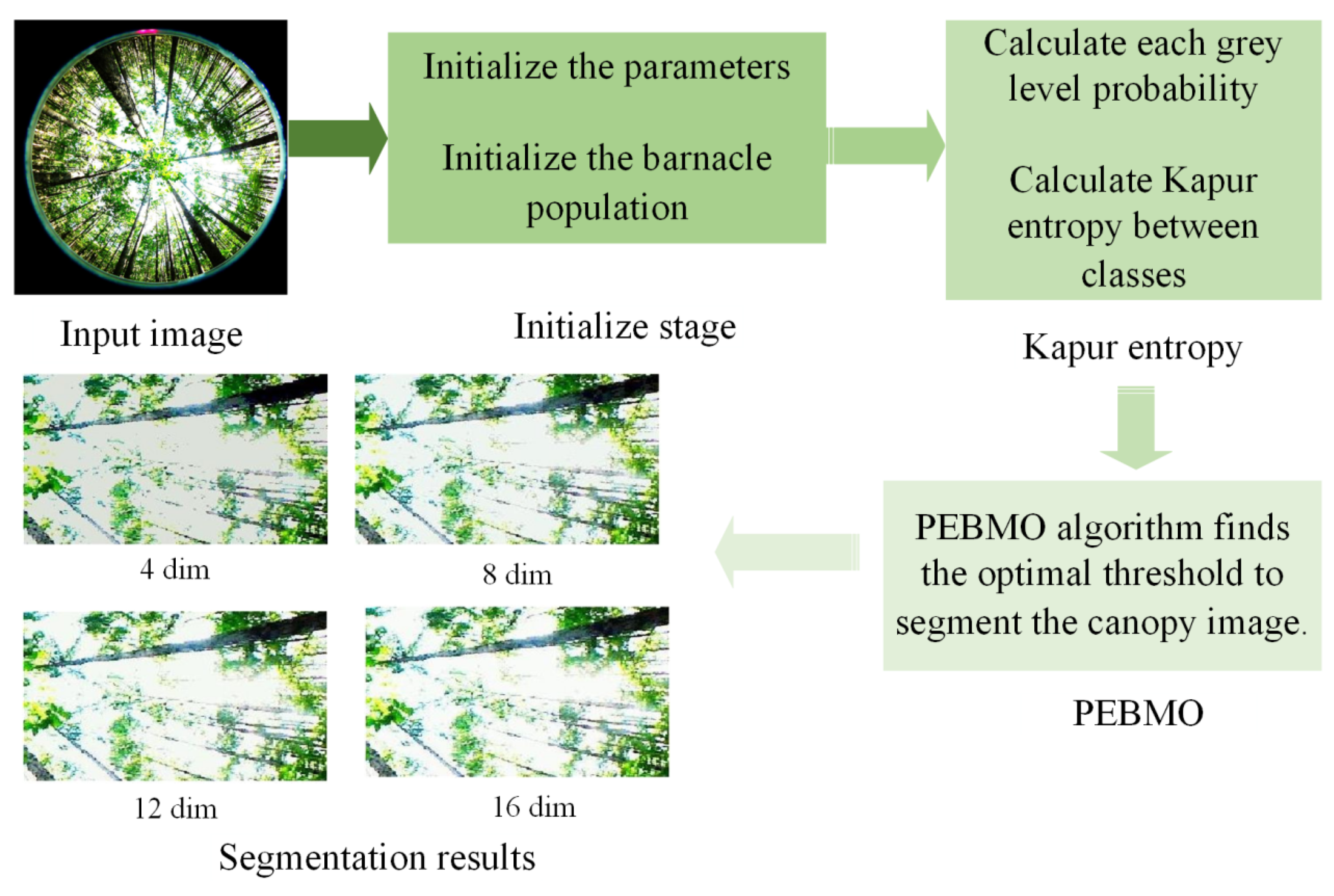 Forests 16 00419 g005
