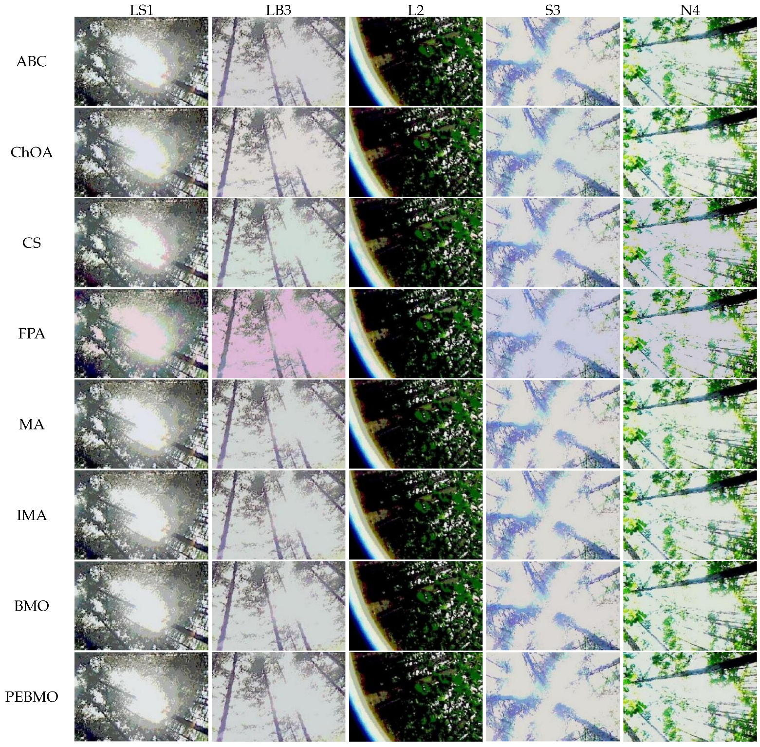 Forests 16 00419 g030