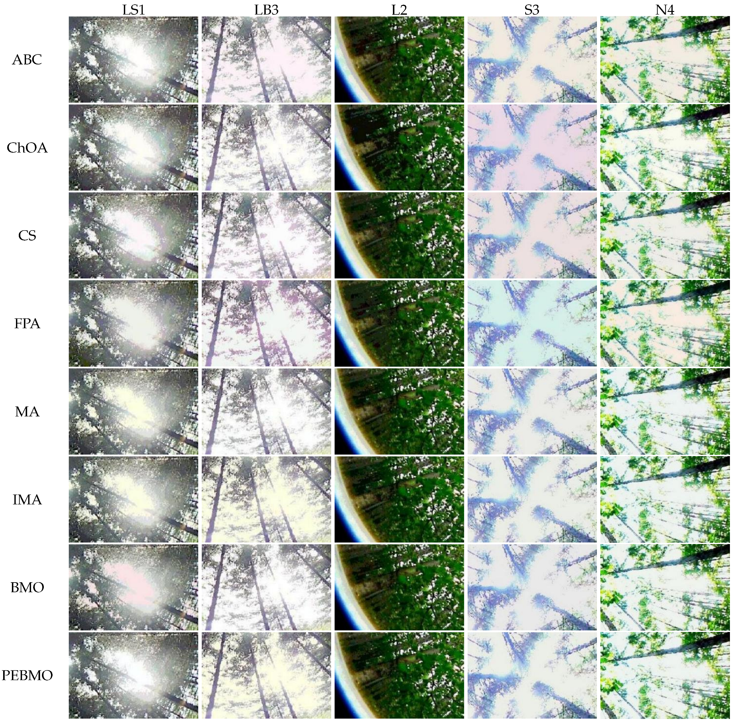 Forests 16 00419 g031