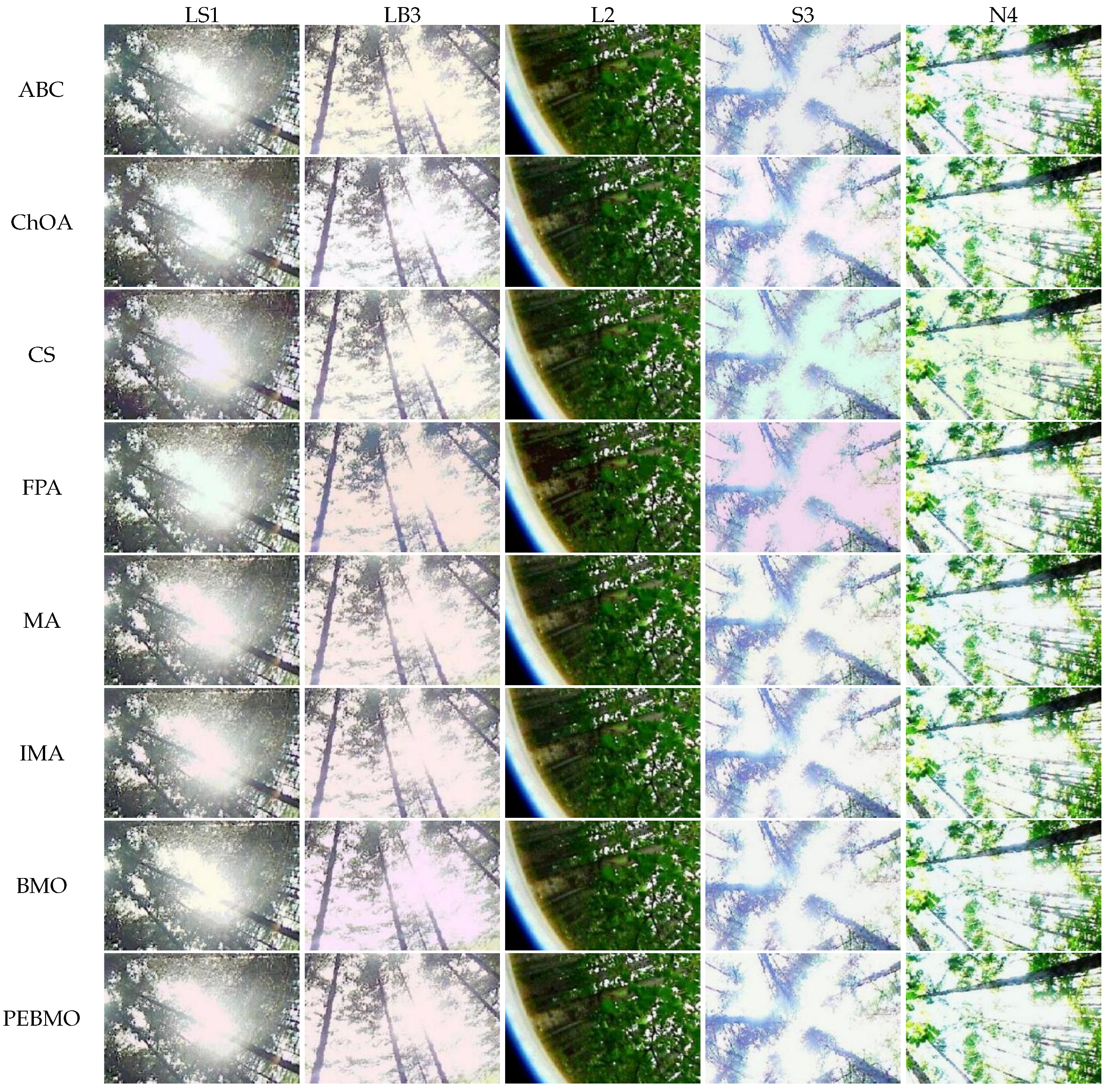 Forests 16 00419 g032