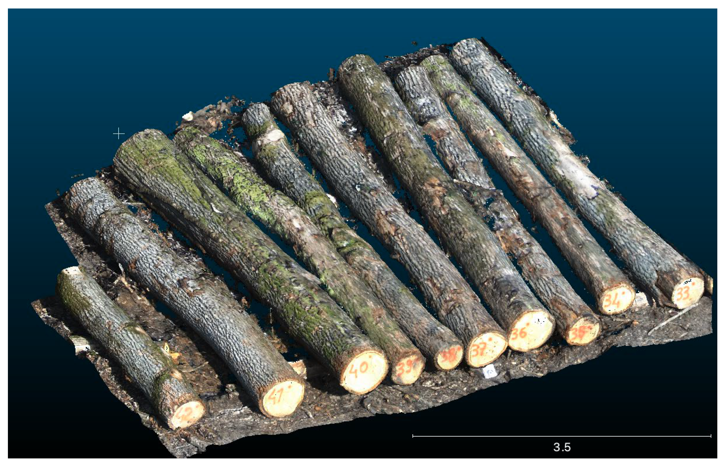 Forests 16 00421 g001